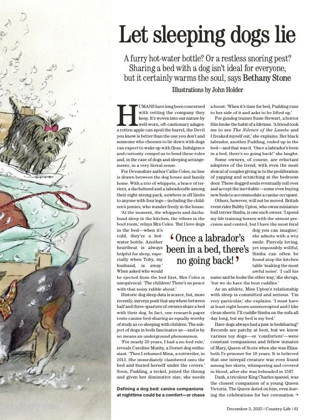 Righthand page of the spread with a narrow panel of the dog illustration and the first page of copy of an article called 'Let sleeping dogs lie' in Country Life magazine