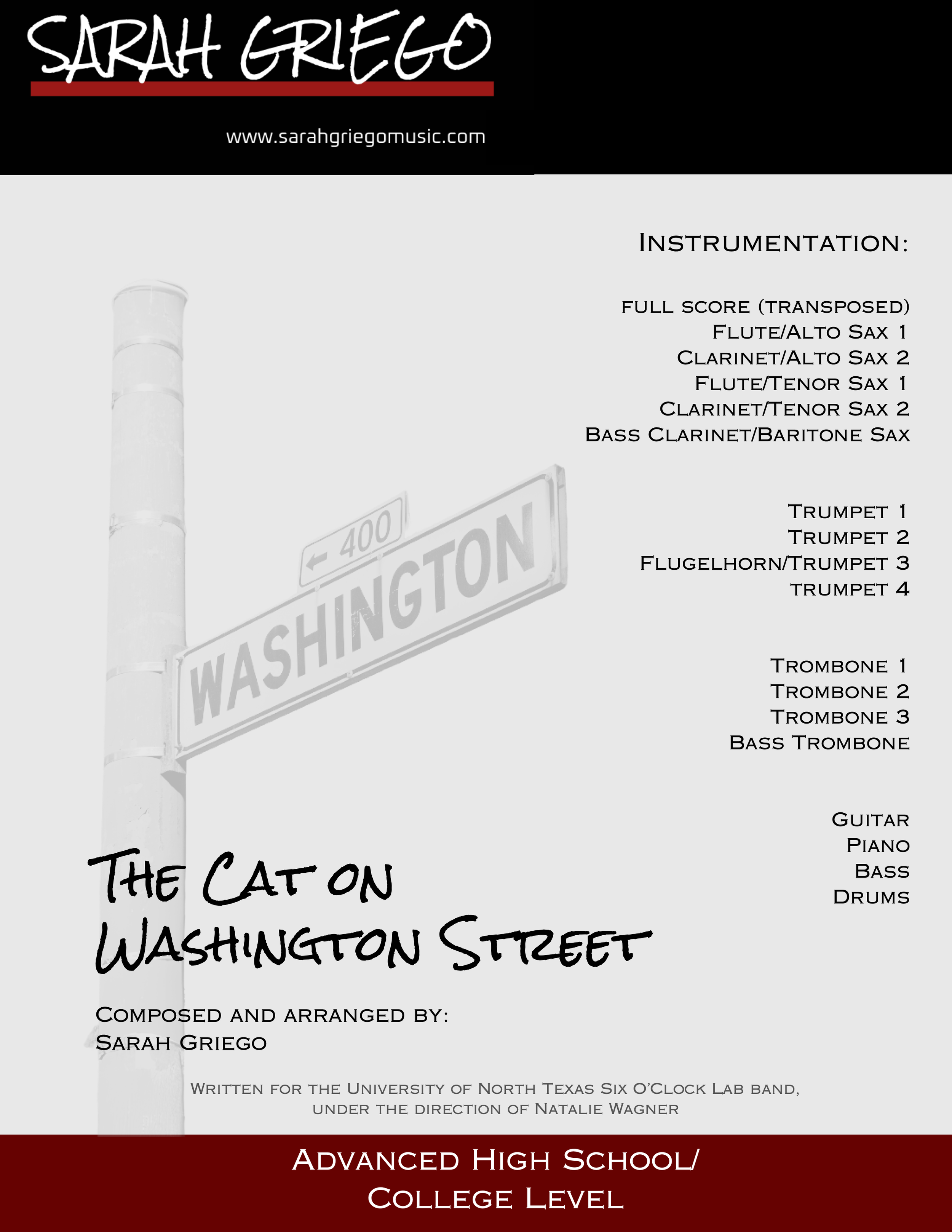 The Cat On Washington Street PREVIEW Cover Page.png