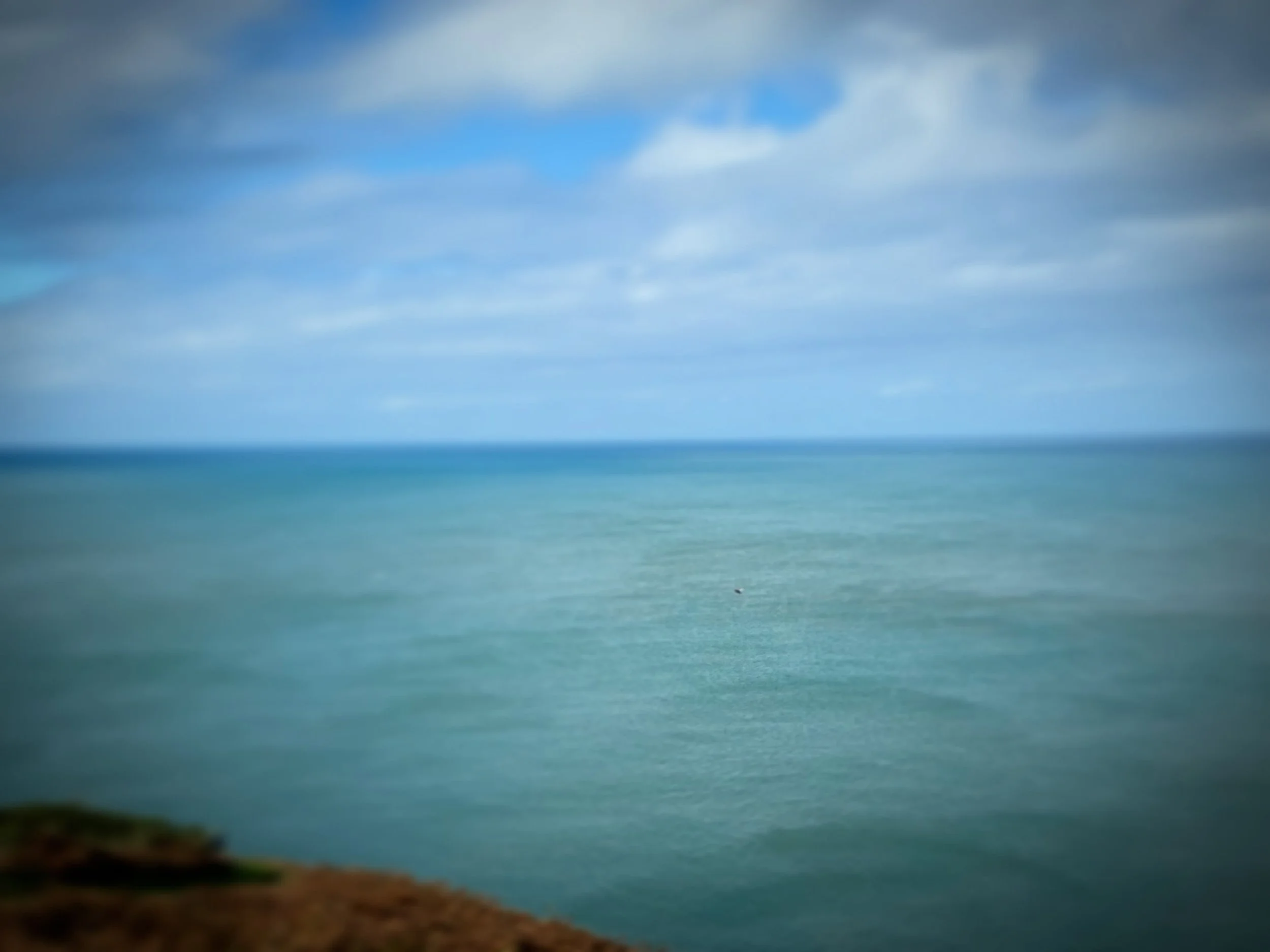 Time out

Sunday

Shop is closed

Cliff walk at Mwnt where we saw dolphins (if you look very hard at the first photo you can see a tiny black dot&hellip;) and a very large beetle who was rather disgruntled at being disturbed by these giants on two le