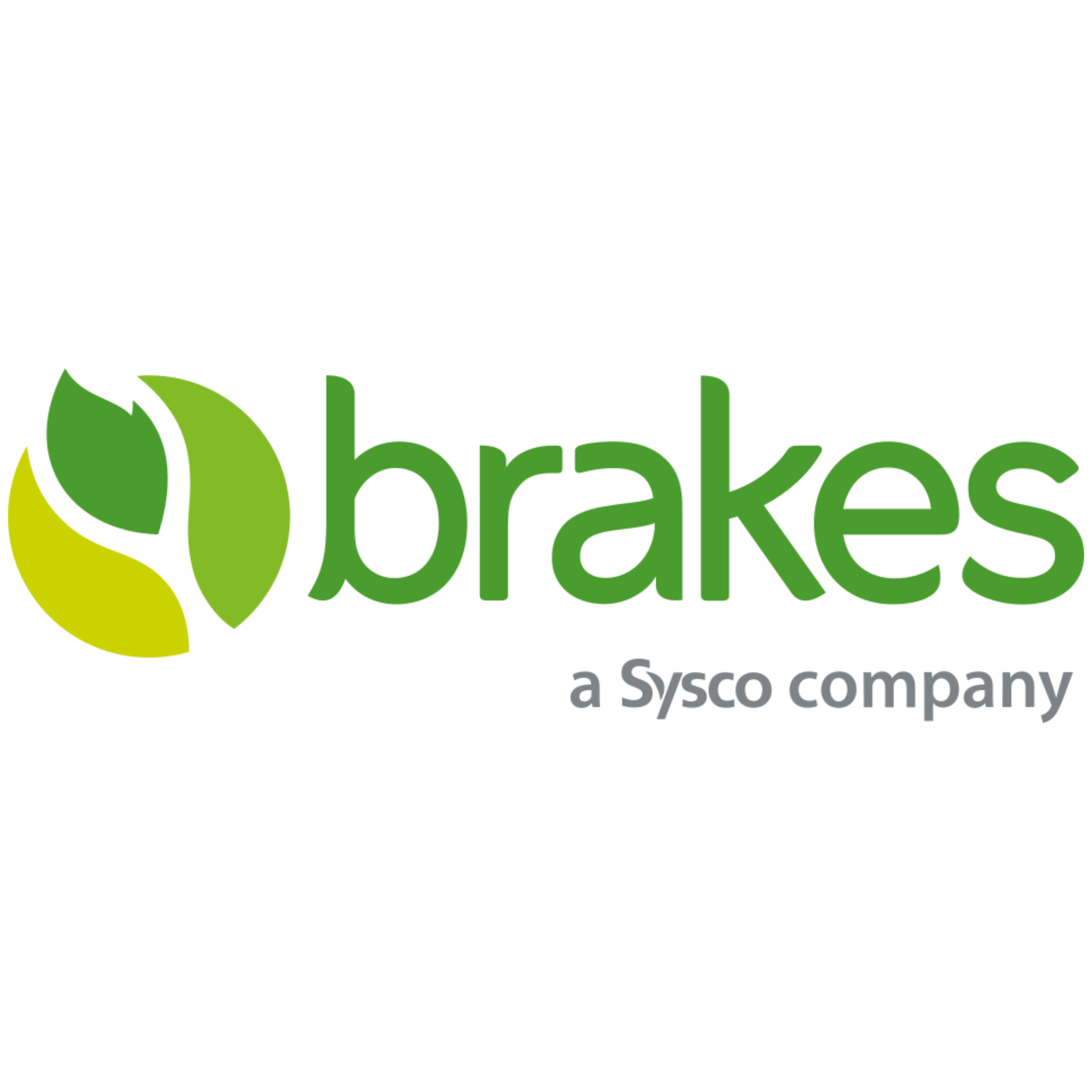 Brakes .png