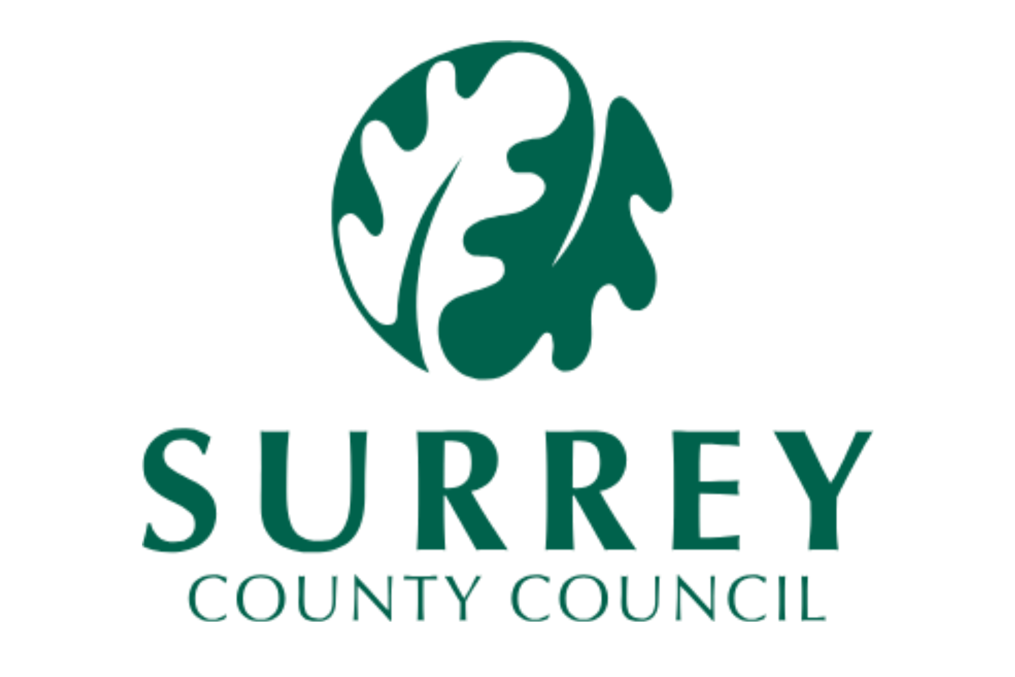 Surrey+County+Council+.png