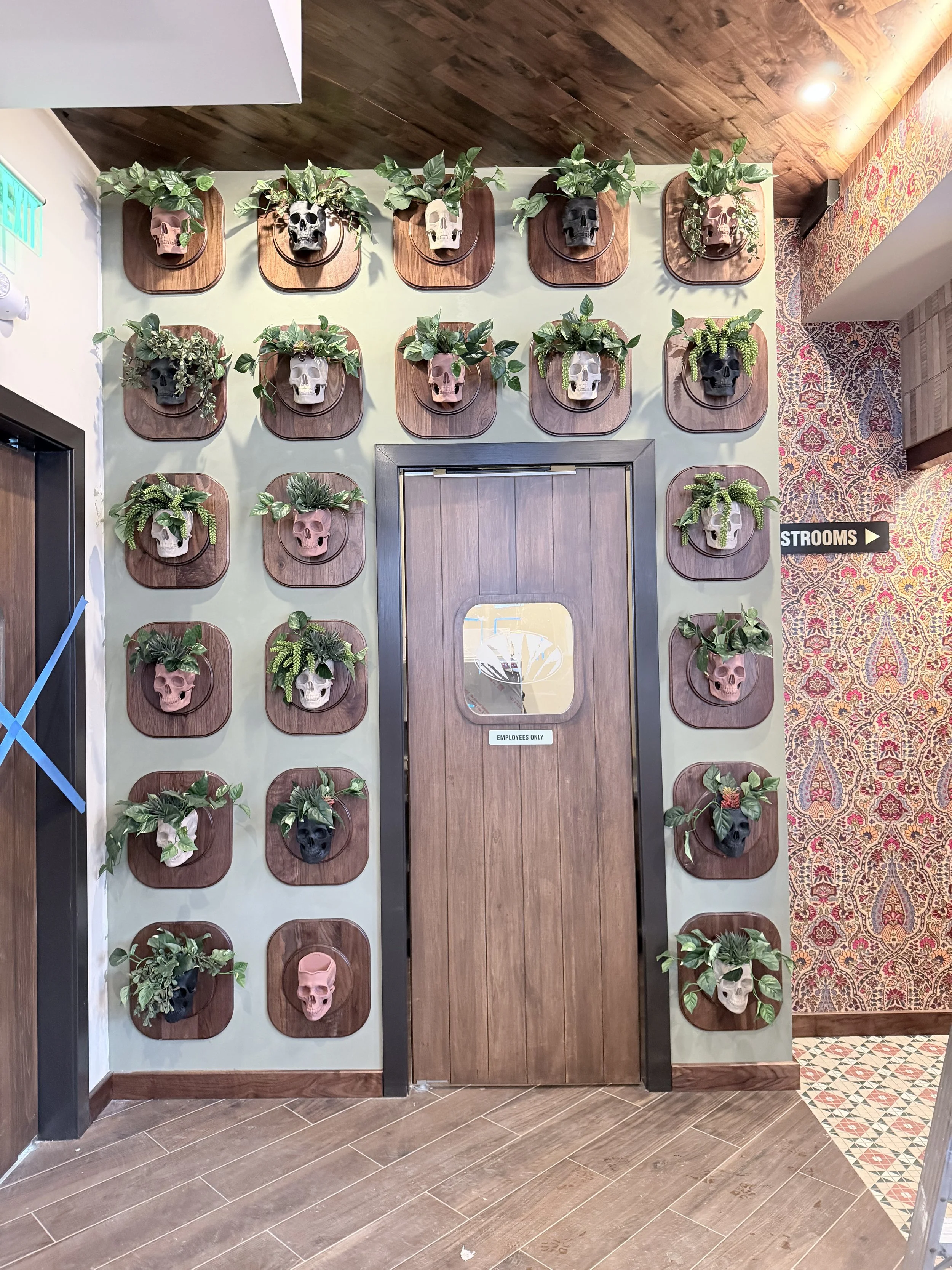 Gustavo's Mexican Grill - Louisville KY -Wall display featuring multiple skull planters mounted on custom-crafted wooden plaques, highlighting the natural wood backing and thoughtful design used to showcase greenery as a decorative art feature.