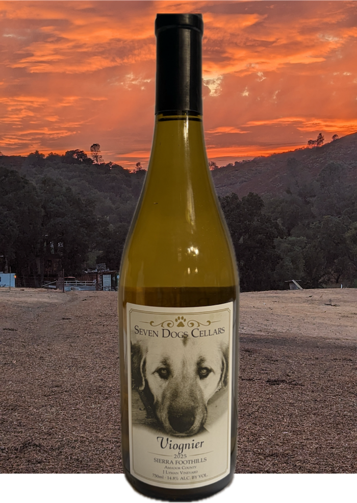 Bottle of Viognier against a sunset.