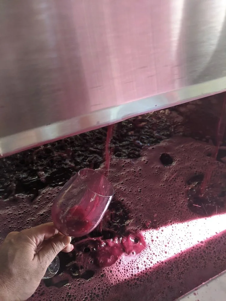 Person holding a wine glass by a fermentation tank.