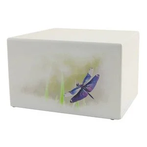 100058 Somerset Dragonfly