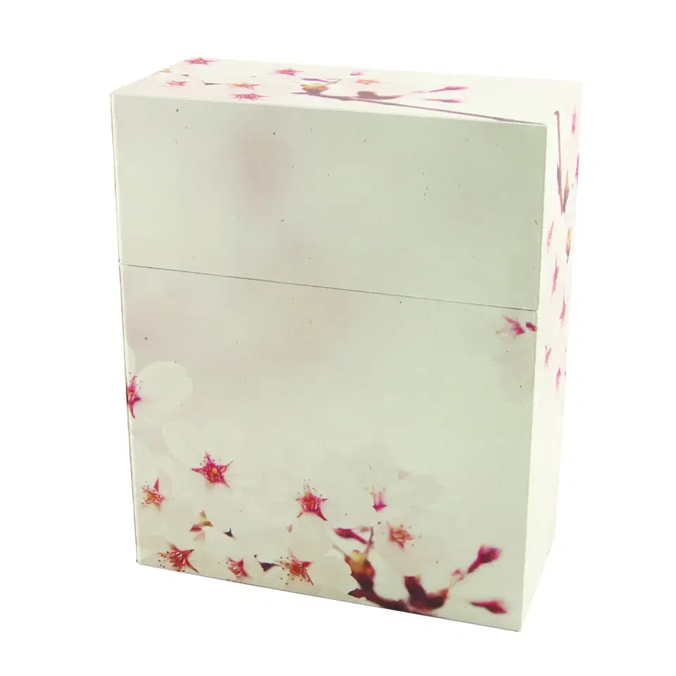 MS113- Explorer Scattering, Cherry Blossoms.WebP