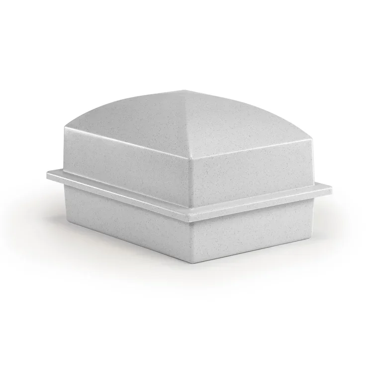 grey regent.webp