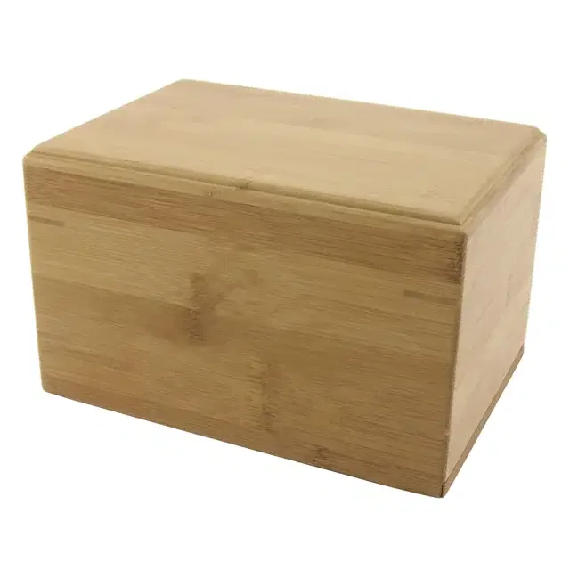 CB-200 Bamboo Box.WebP