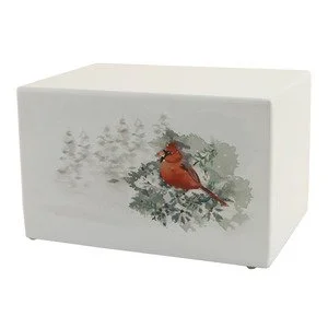 100008 Somerset Cardinal
