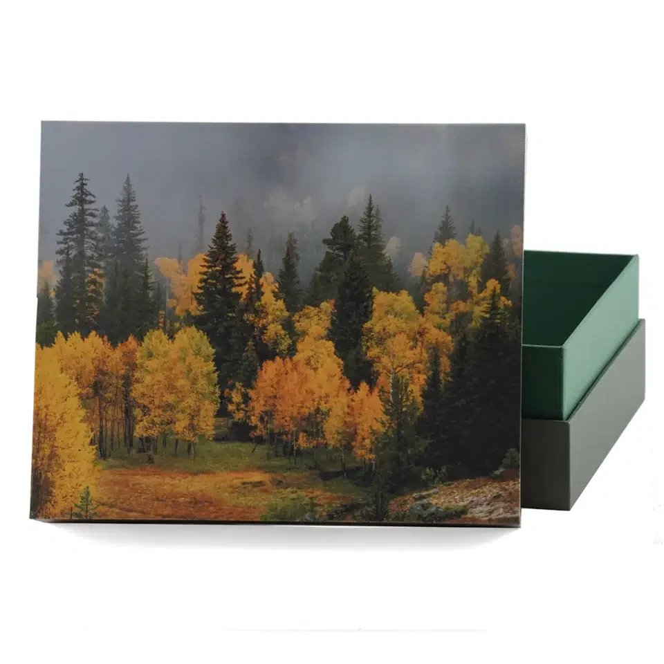 MS119 Explorer Scattering Urn, Misty Autumn