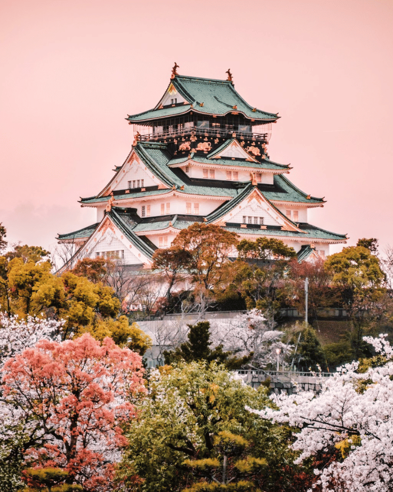 japan2.png.webp