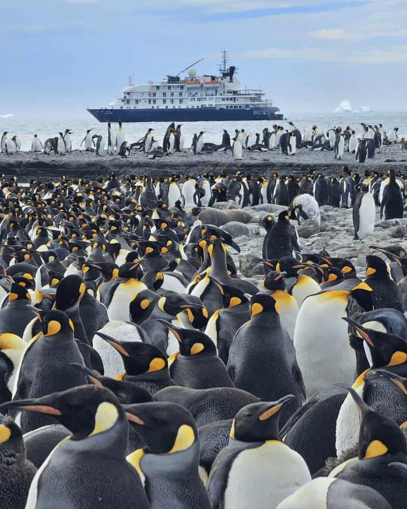 antarctica.png.webp