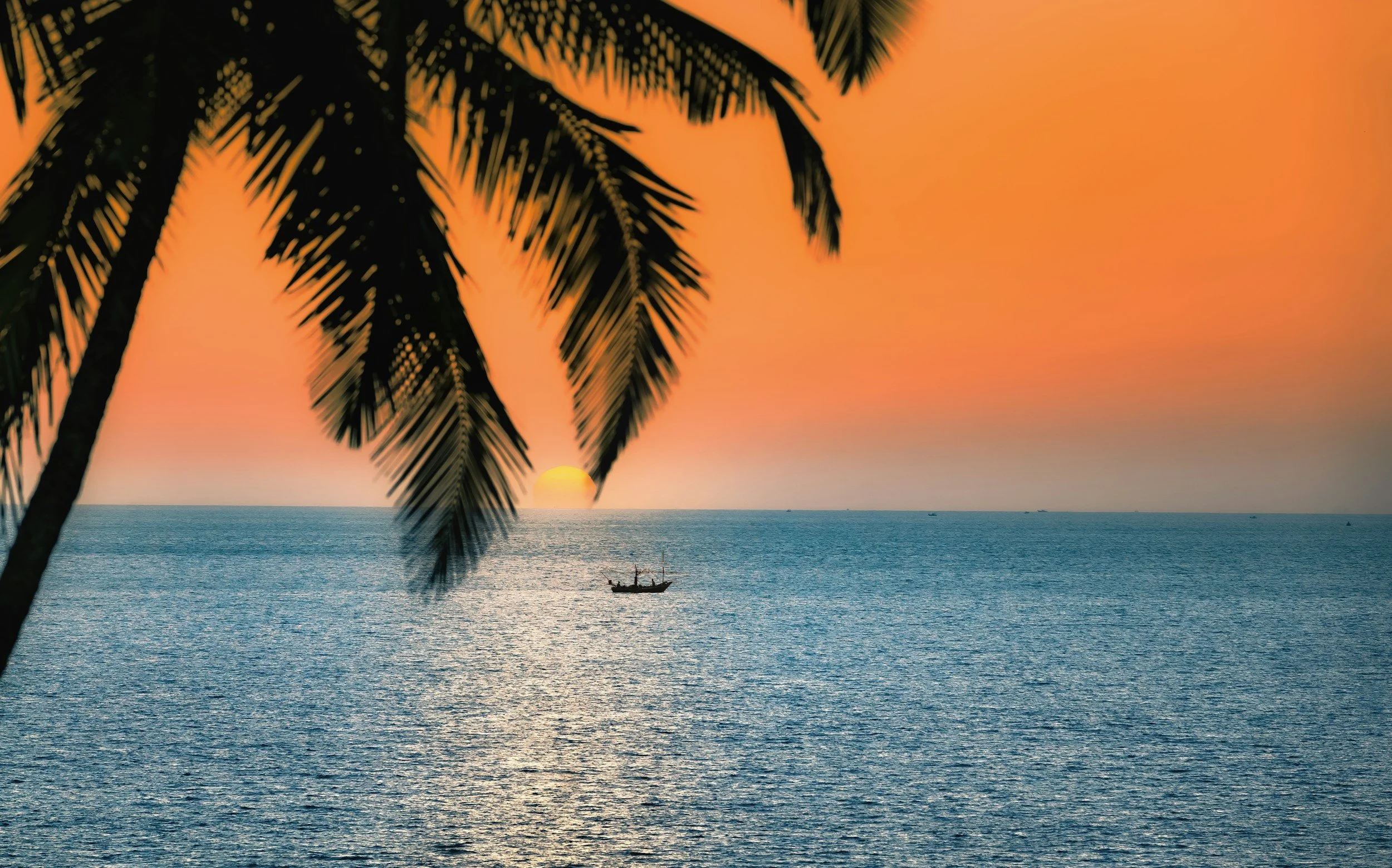 A sunset over the ocean with a boat floating on the water and palm tree leaves in the foreground.