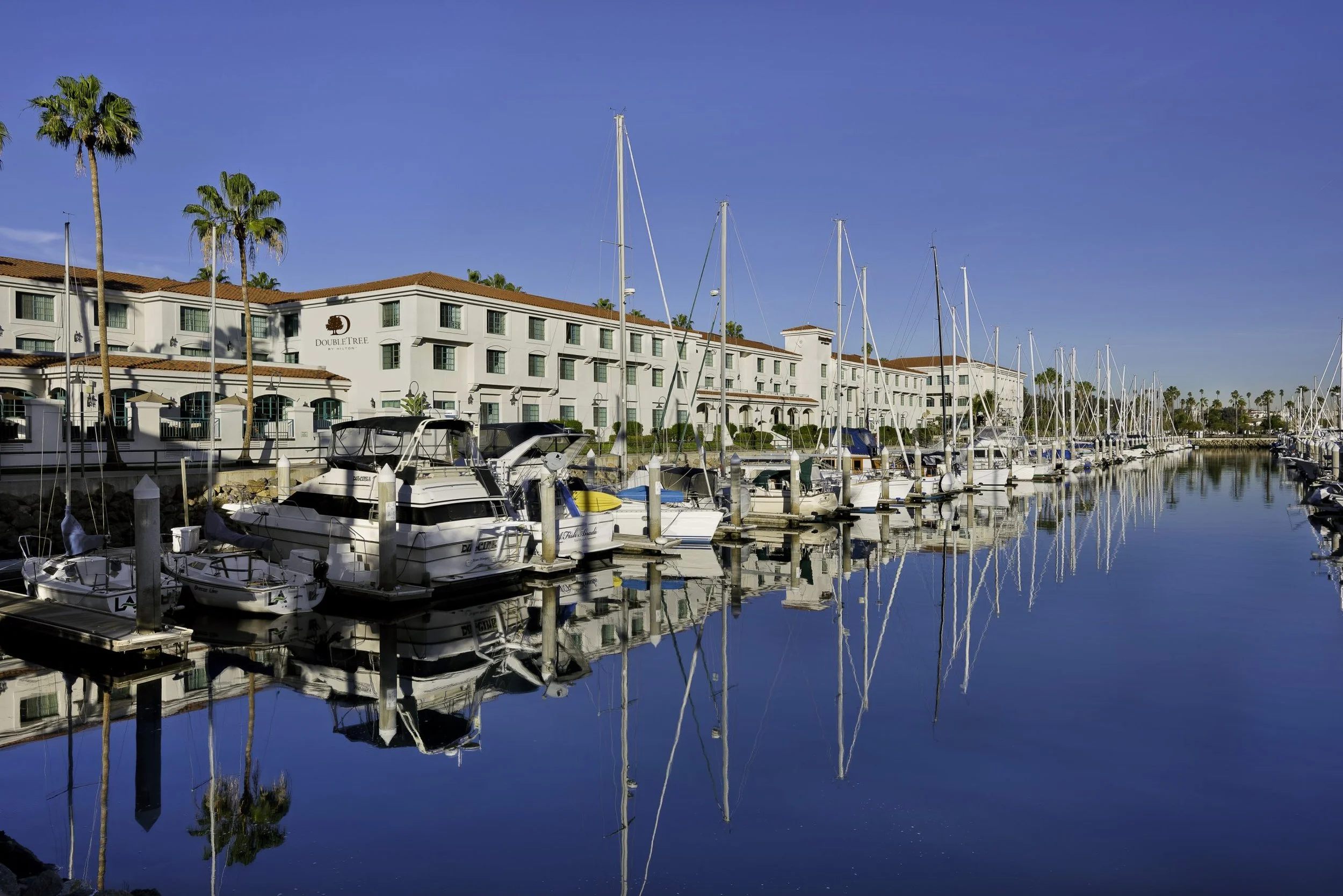 Gan Eden Pesach 2026 Passover Program in San Pedro, California Claimed