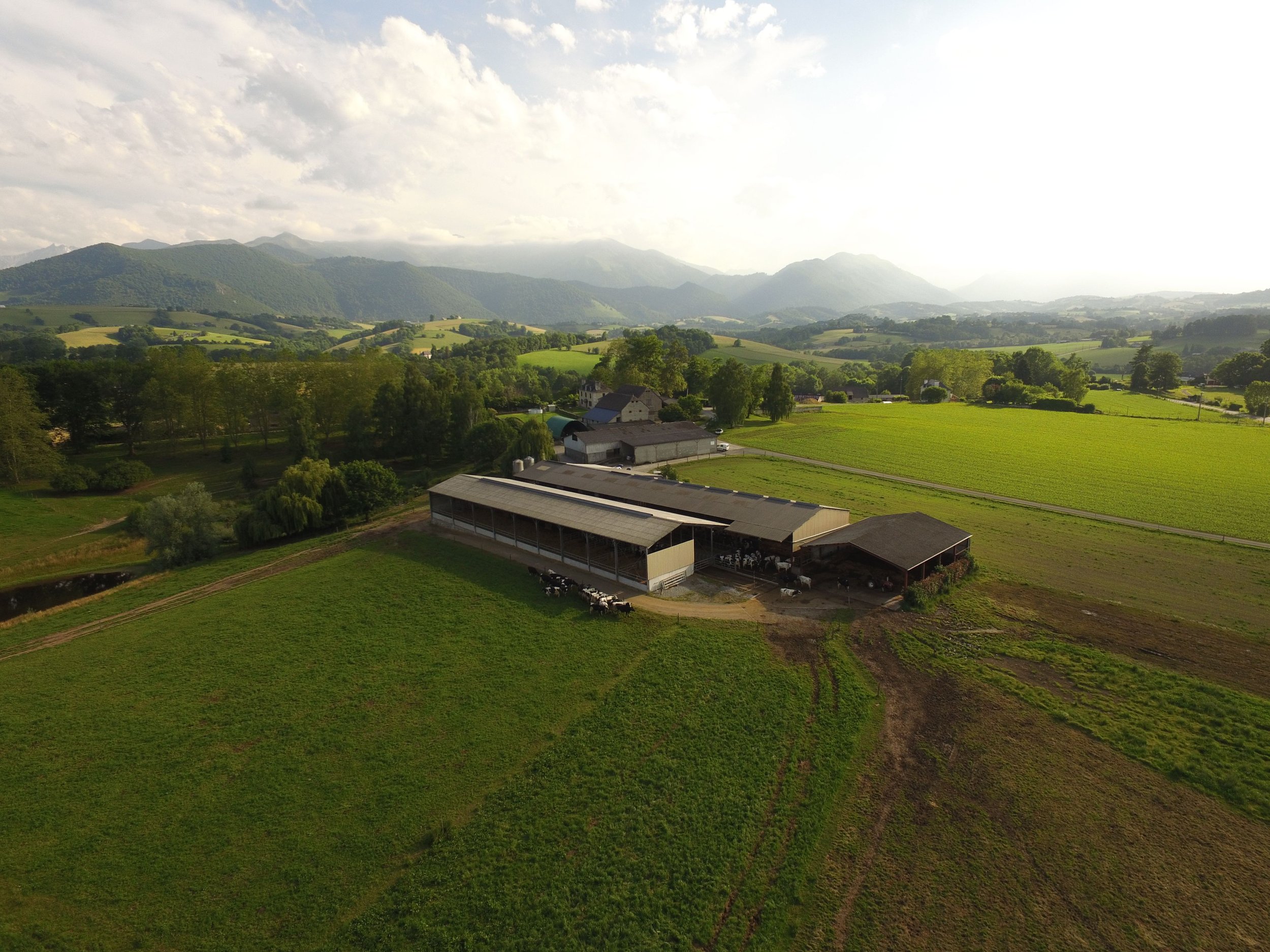 Vue aérienne par drone d'un site professionnel et de son environnement