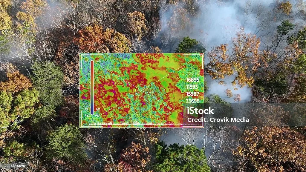 Analyse thermique aérienne d'une zone boisée réalisée par drone