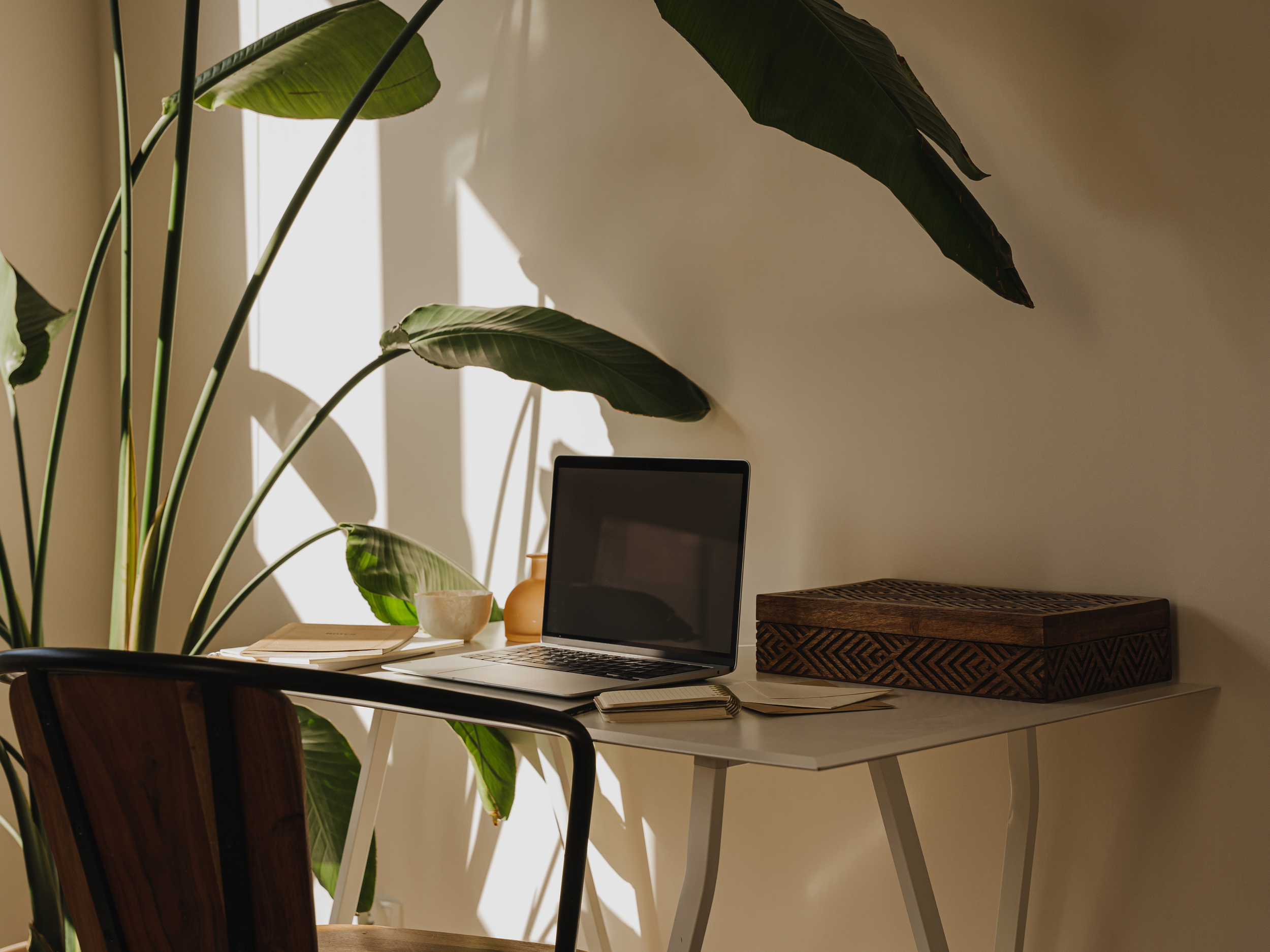 A workspace with a laptop, notebooks, a notebook, a wooden box, and decorative items on a white desk, with tall green leaves casting shadows on the wall behind.