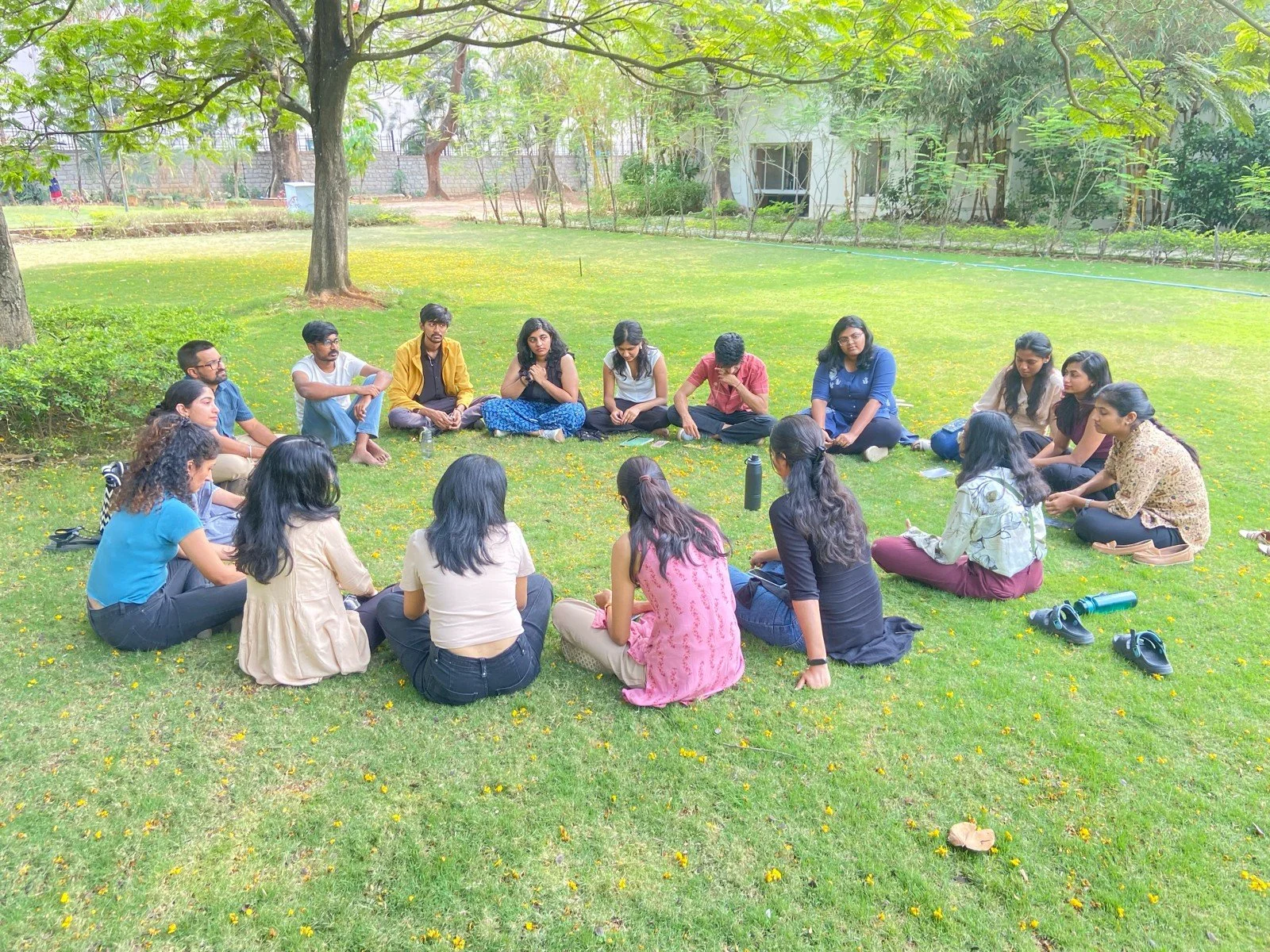 People sitting on a green lawn