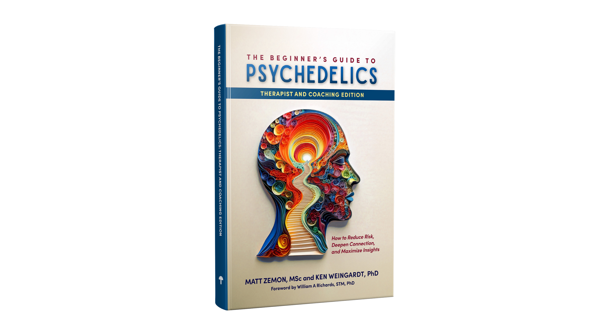 Cover of a book titled "The Beginner's Guide to Psychedelics" featuring a colorful abstract illustration of a human head with a glowing light inside, authored by Matt Zemon and Ken Weingardt.