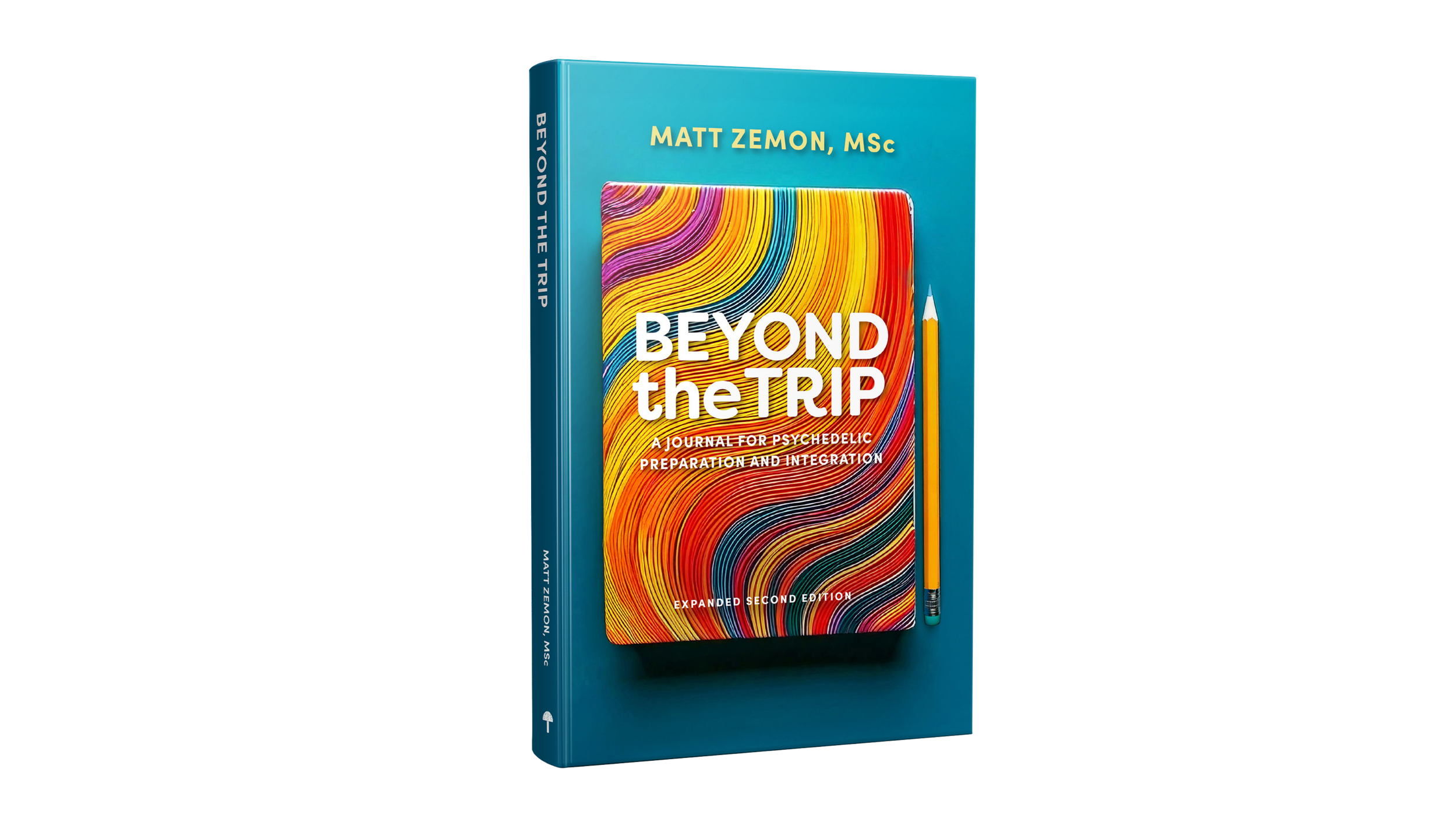 Beyond the Trip book cover