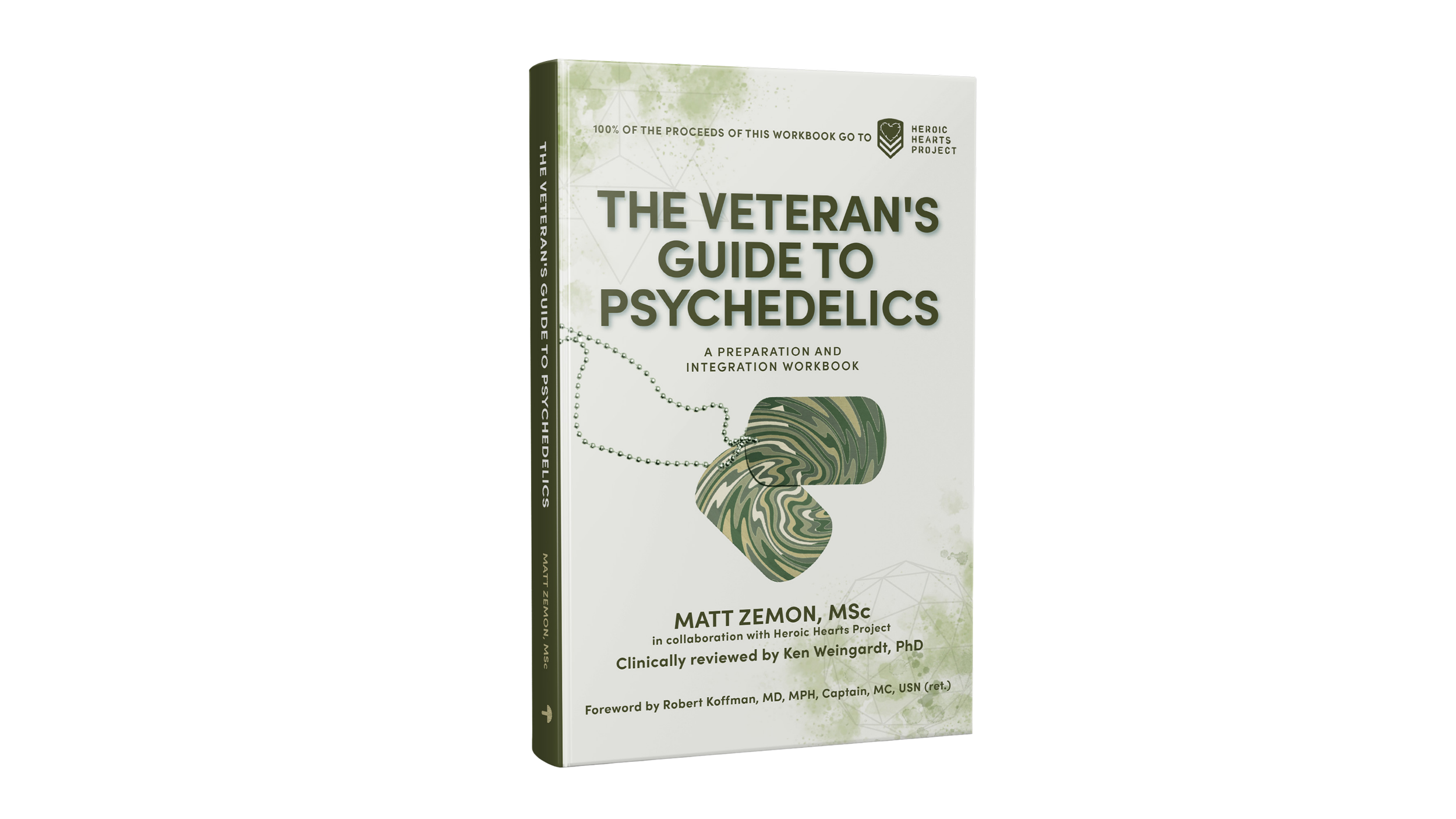 The Veteran's Guide to Psychedelics book cover