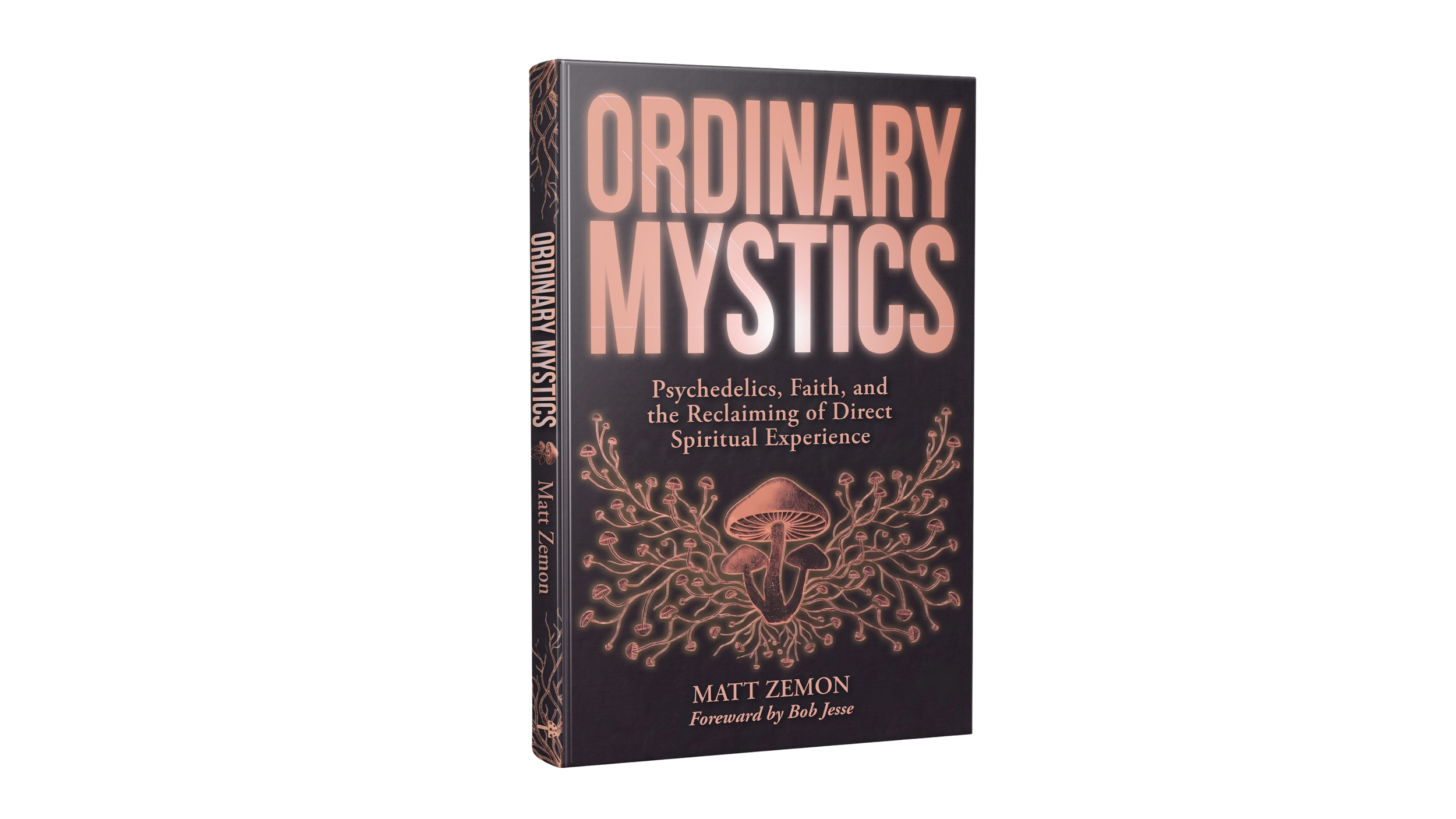 Ordinary Mystics book cover