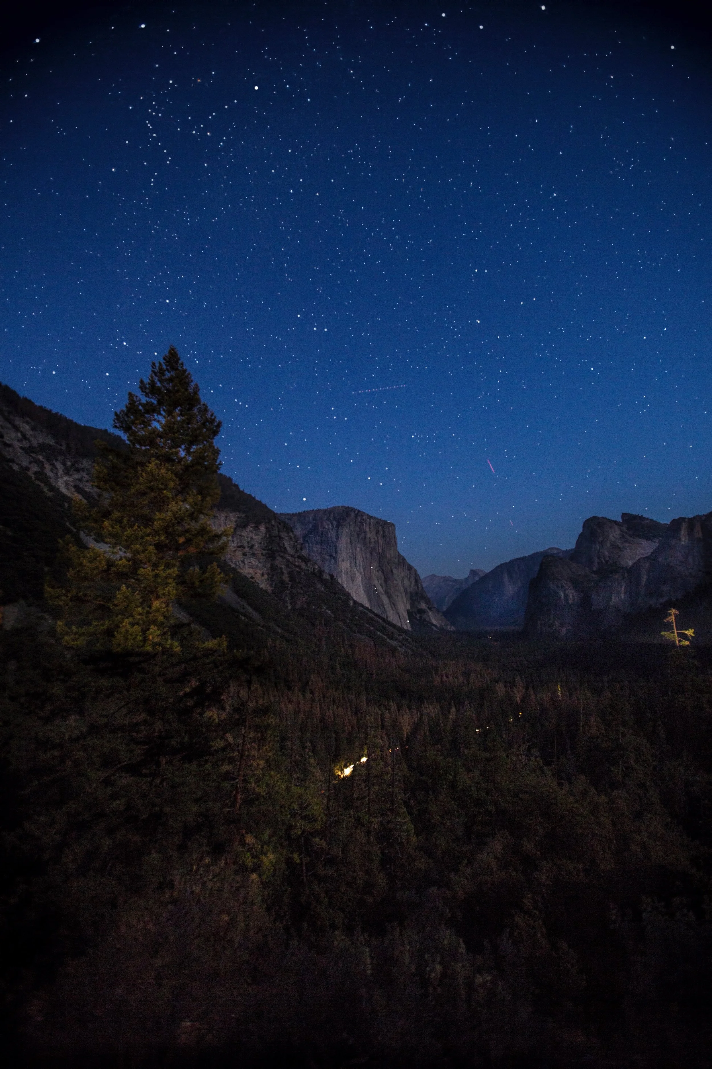 Nighttime landscape of a valley with a canyon, tall evergreen trees in the foreground, and a star-filled sky above.