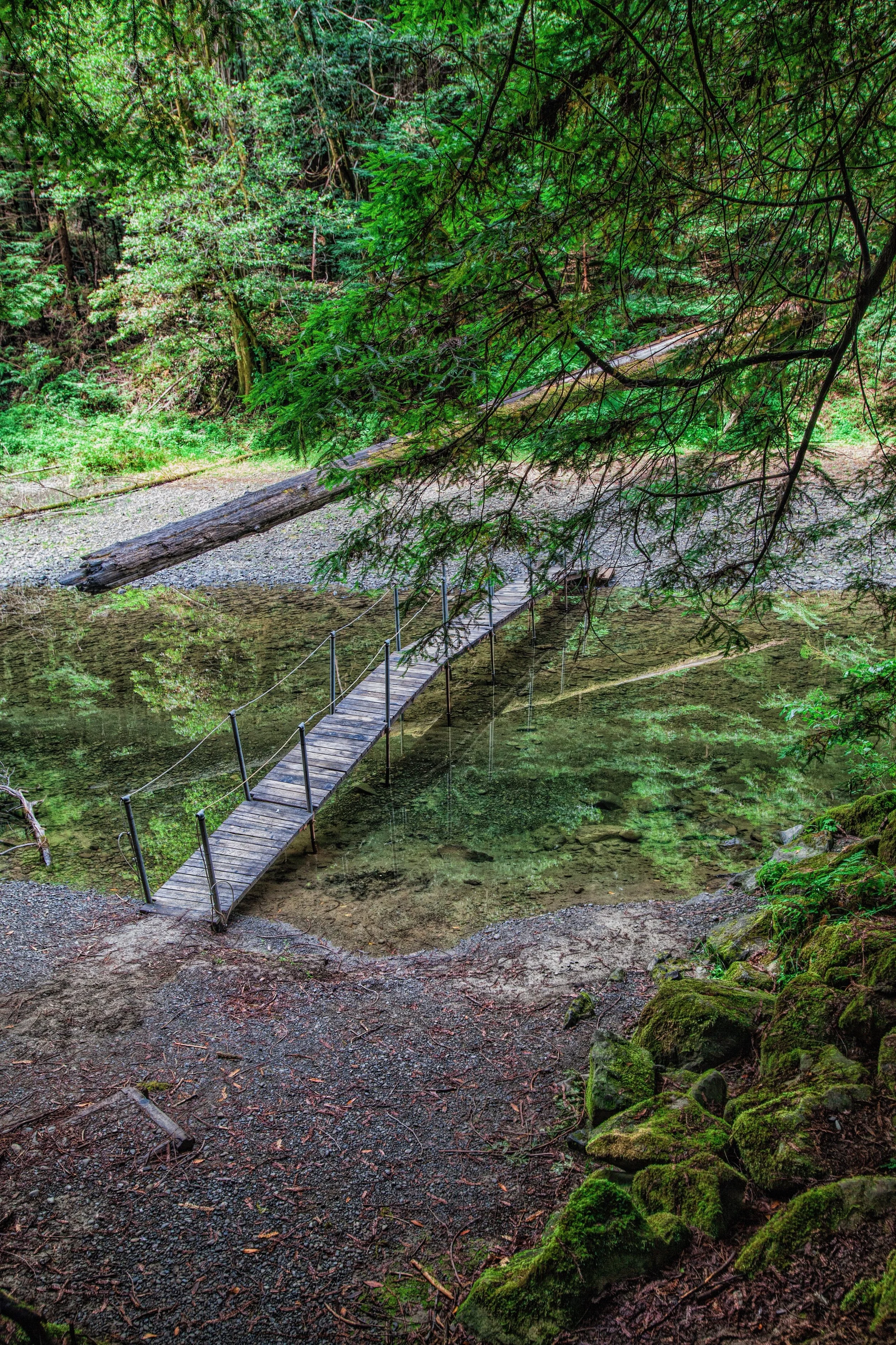 A wooden suspension bridge crossing over a shallow stream in a lush green forest with dense trees and moss-covered rocks.