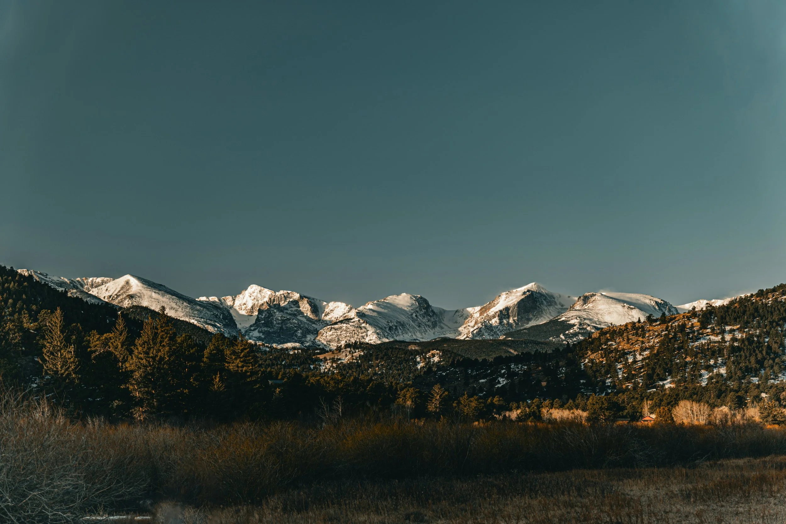 Snow-capped mountains under a clear sky with dark pine trees in the foreground.