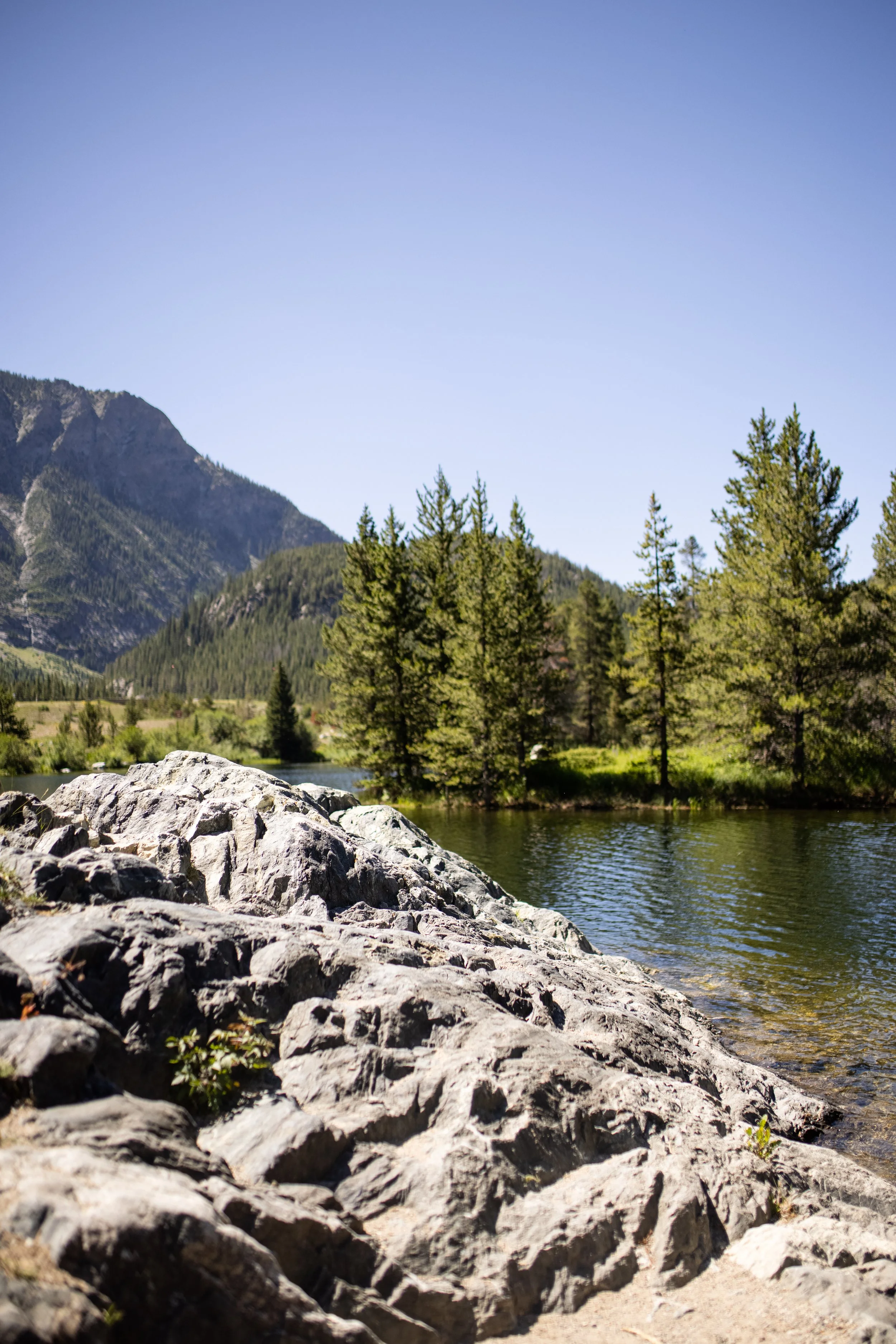 Rocky shoreline by a river with clear water, dense pine trees, mountains in the background, under a bright blue sky.