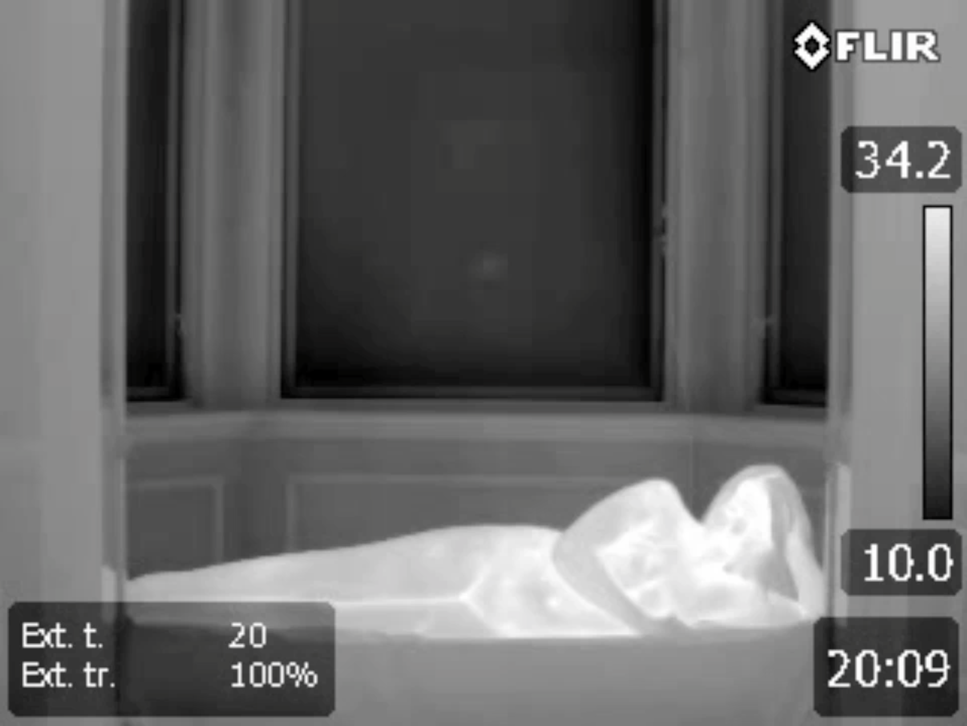 FLIR T420