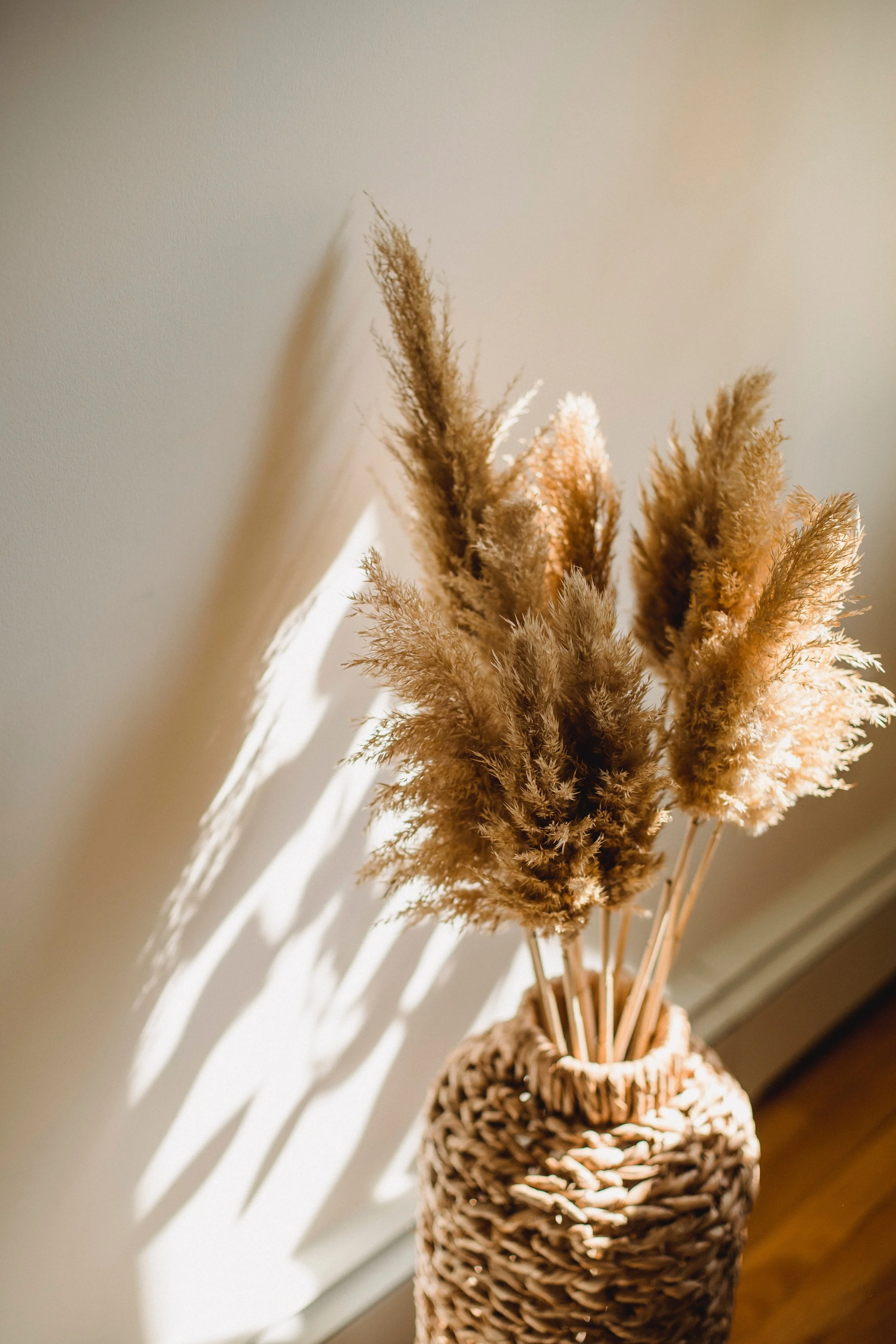 A woven basket holding dried pampas grass with sunlight casting shadows on a wall.