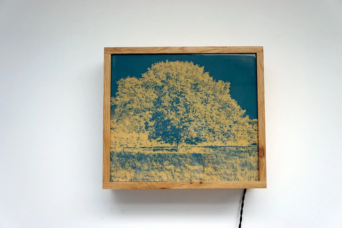 Glow Tree Spring clean.jpg