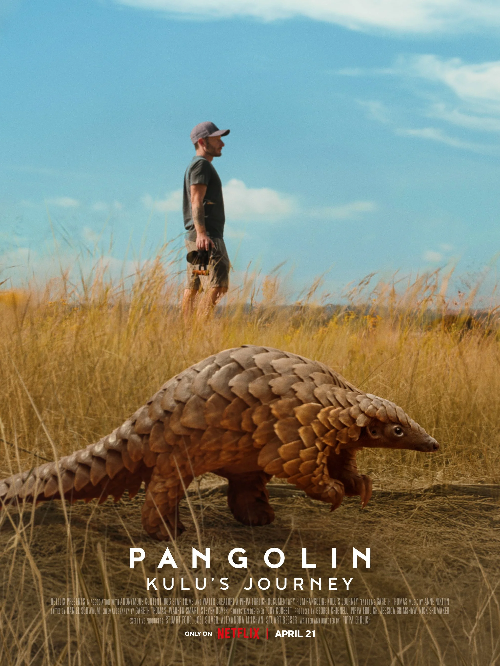 Pangolin: Kulu’s Journey 
