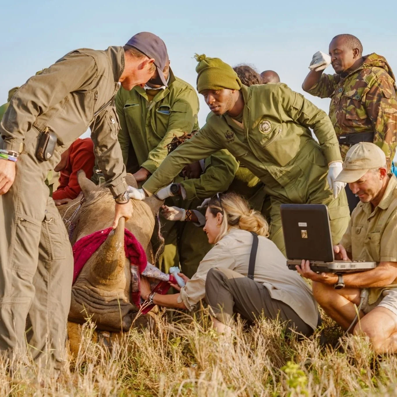 Ol Jogi Community and Wildlife Foundation