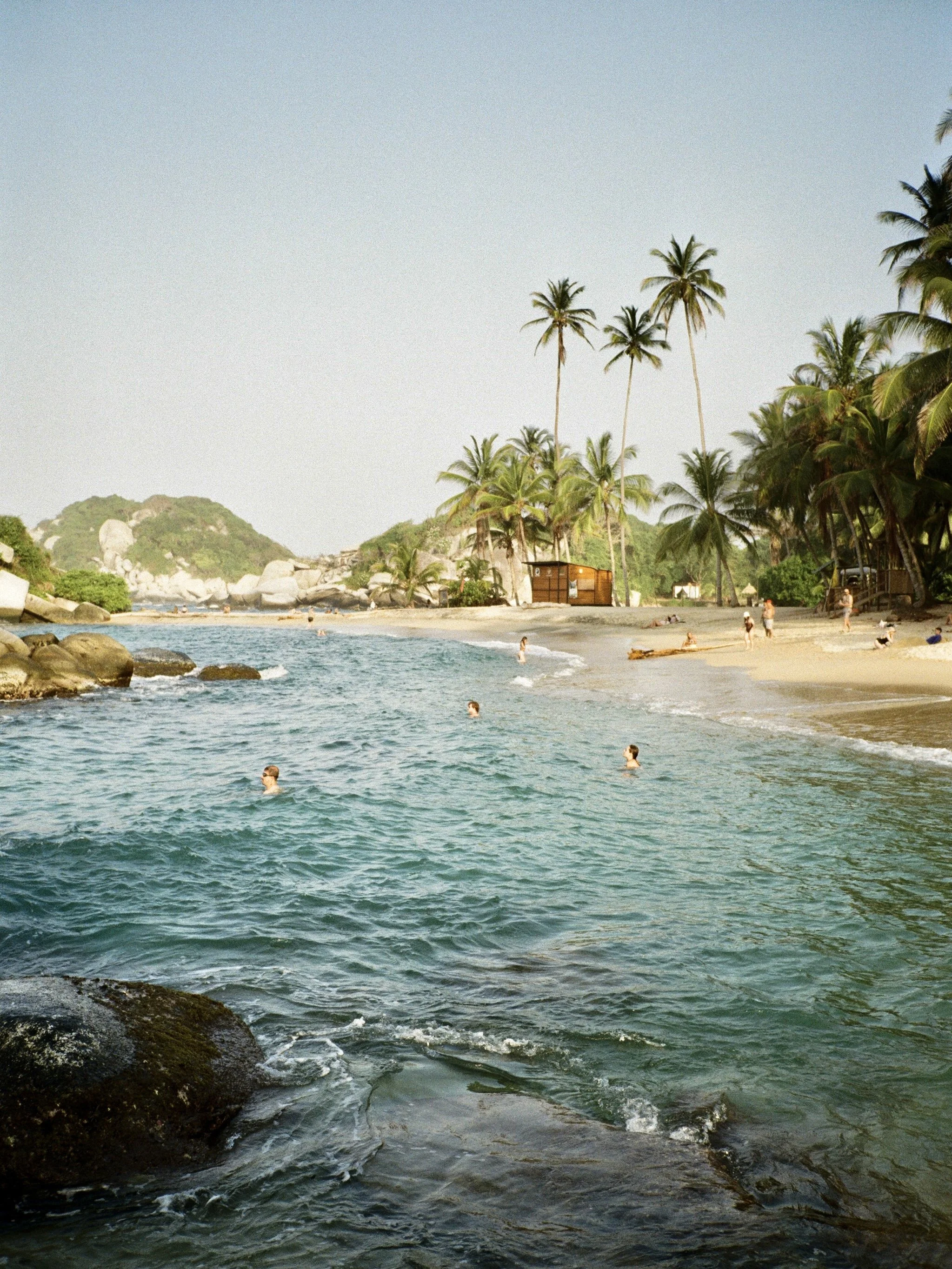 IMG_2065.jpg