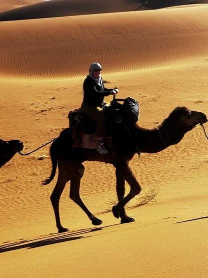 The Camels are Definitely a Trip Highlight!