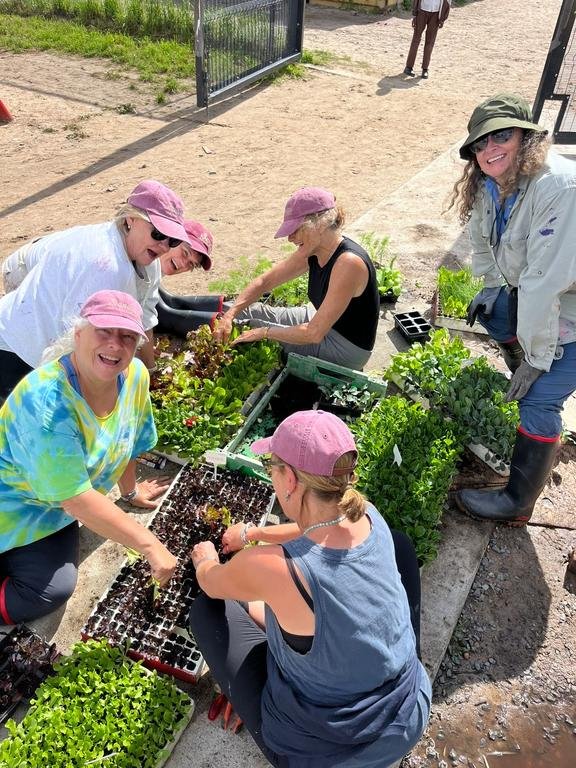 Conservation work
