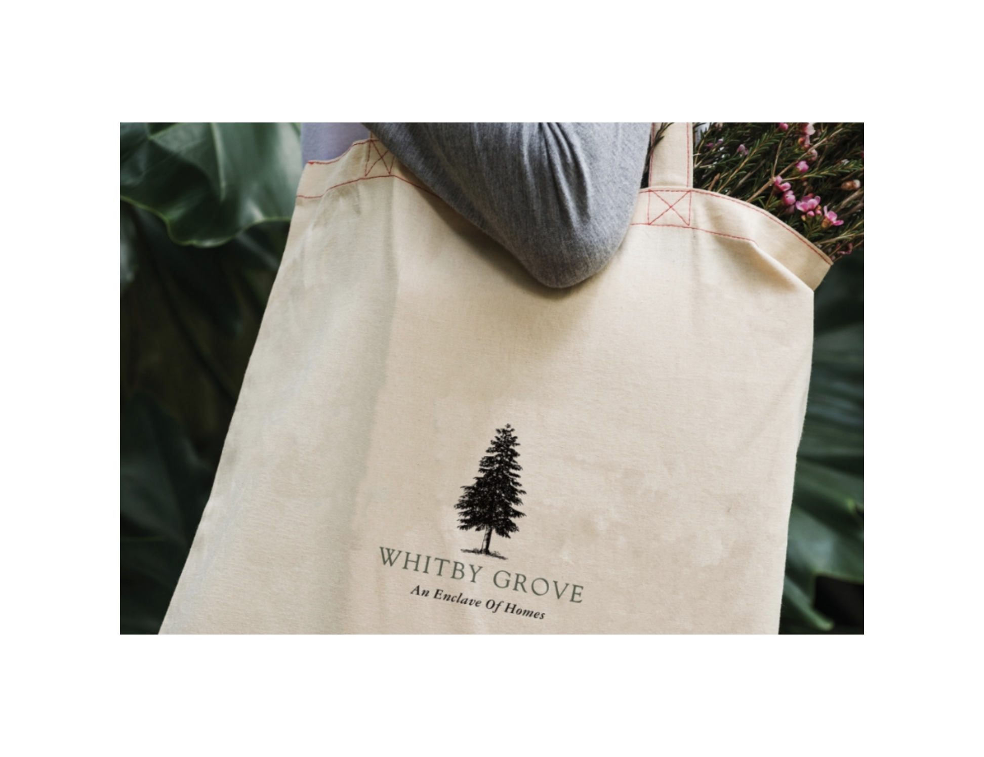 Whitby Grove 1 – 1.png