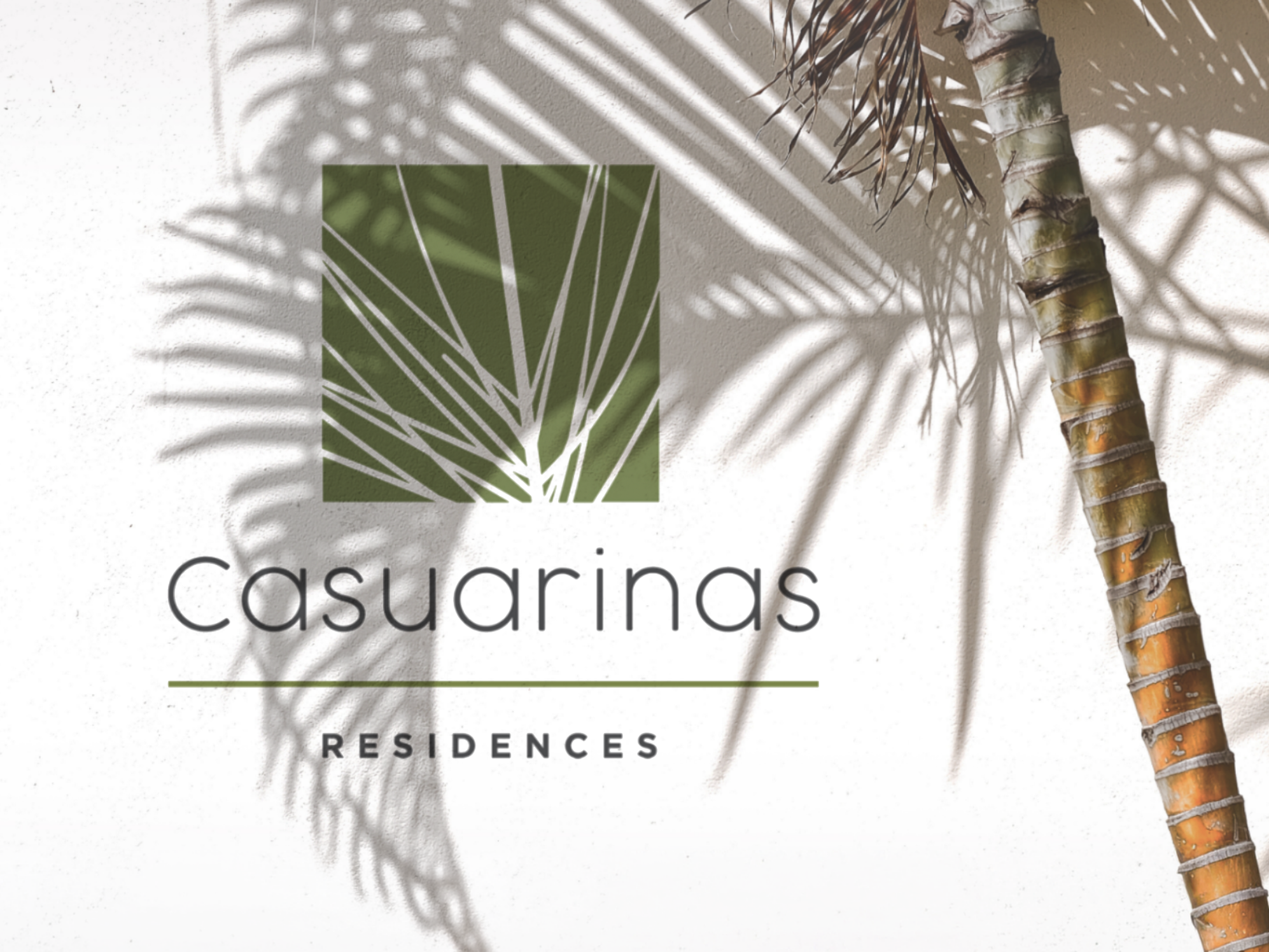 Casuarinas