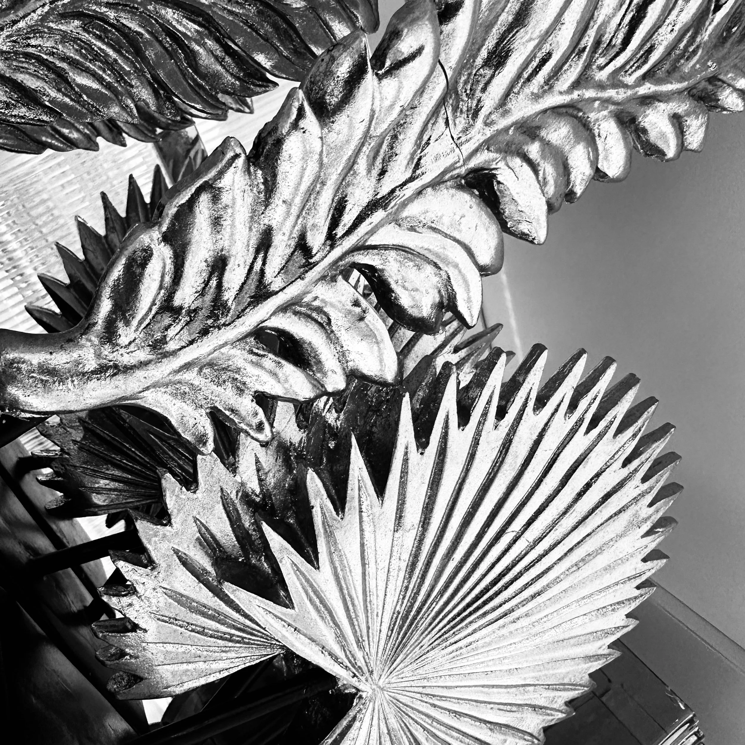 Plane_image27.jpg