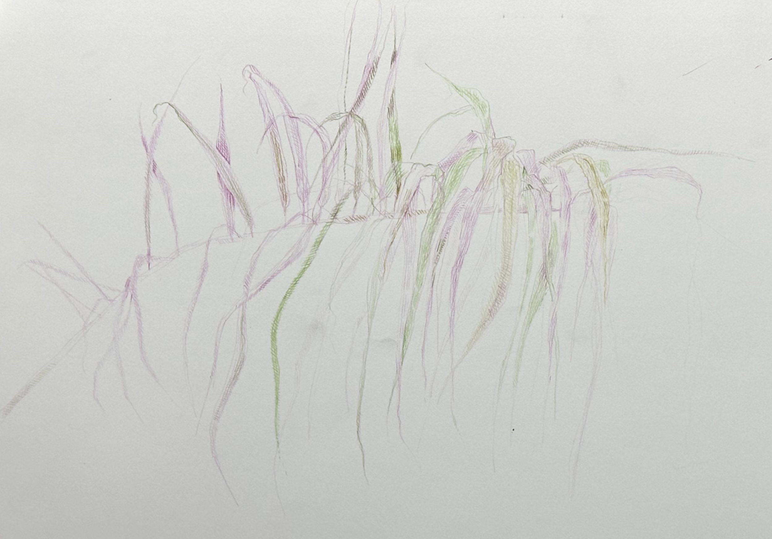 DES111_P4.3.png
