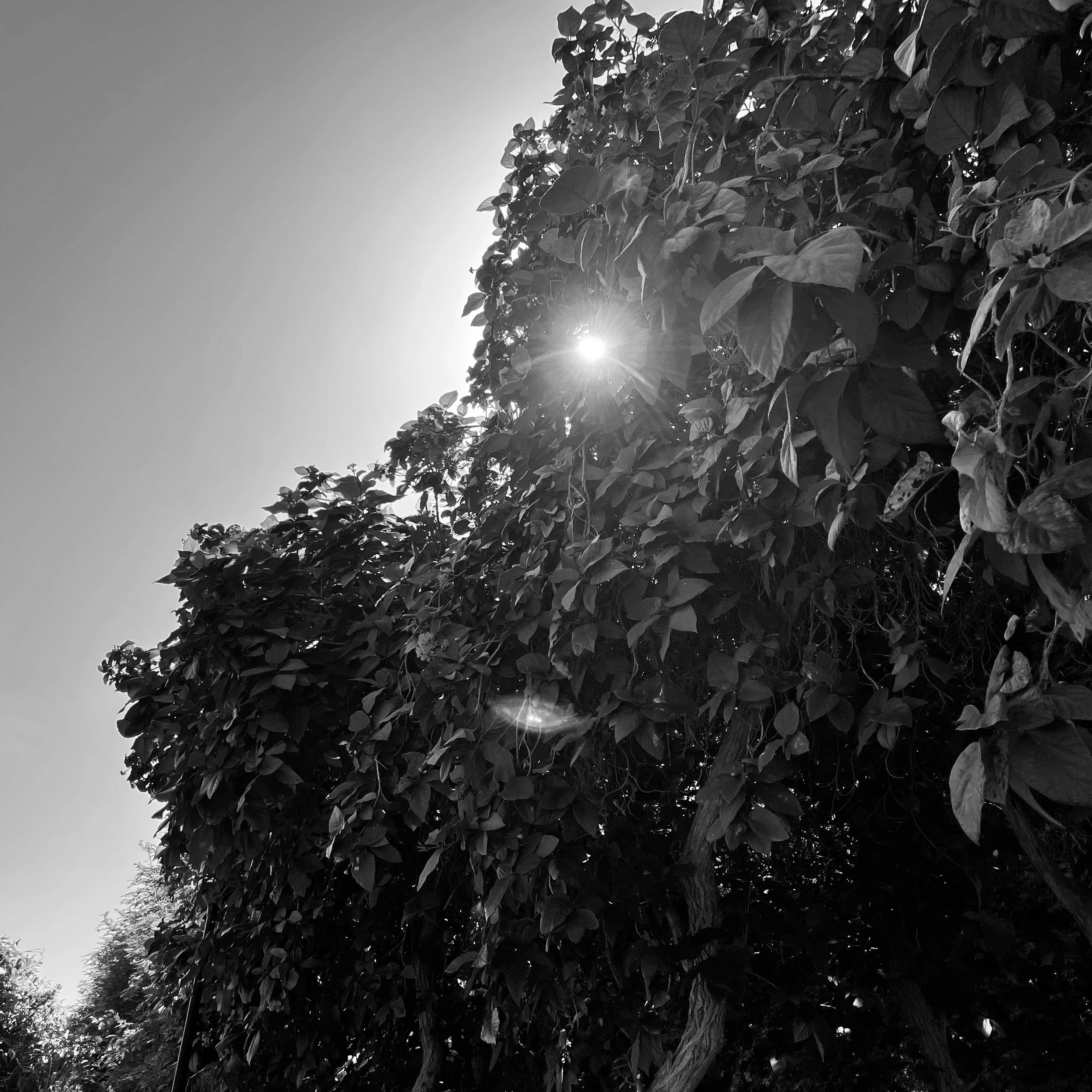 Point_image3.jpg