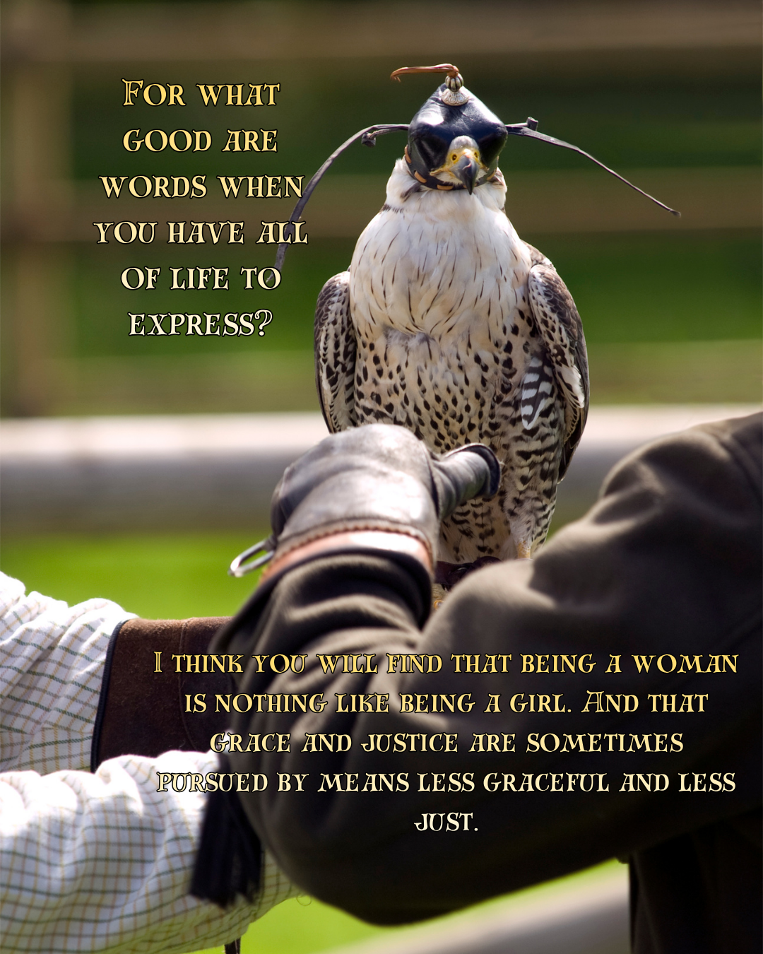 LT - Falcon Quotes.png