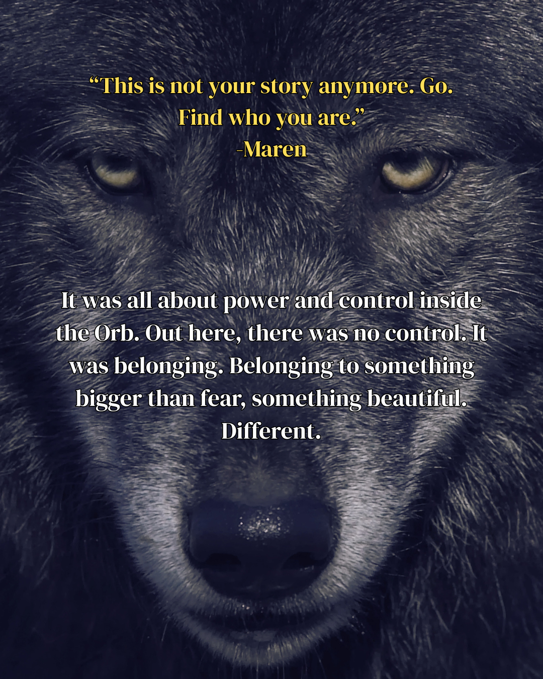 RFA - Quotes 1.png