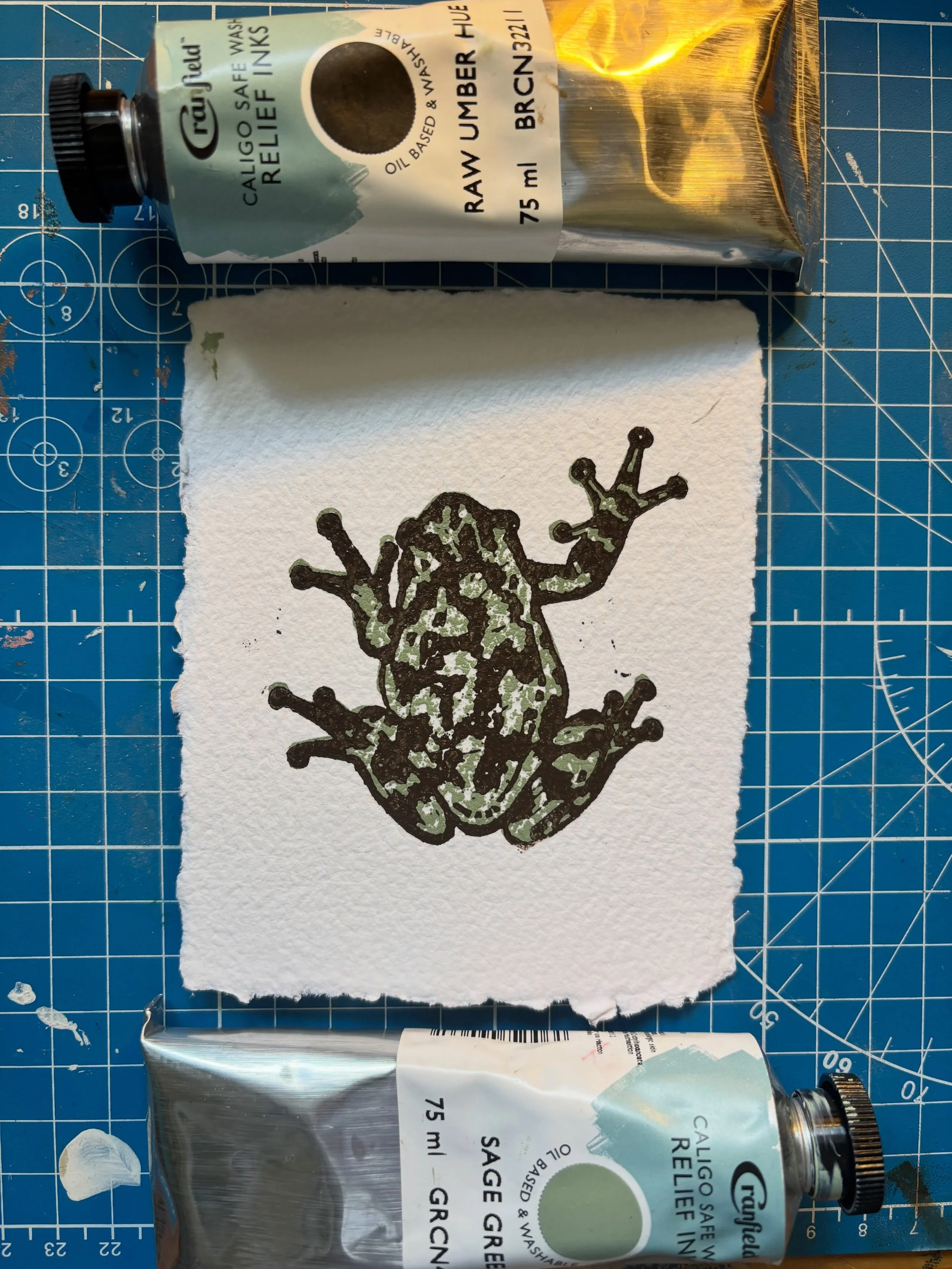 ☆.𓋼𓍊 𓆏 𓍊𓋼𓍊.☆
&bull;
&bull;
&bull;
#treefrog #lino #linocut #linoprint #canadianartist