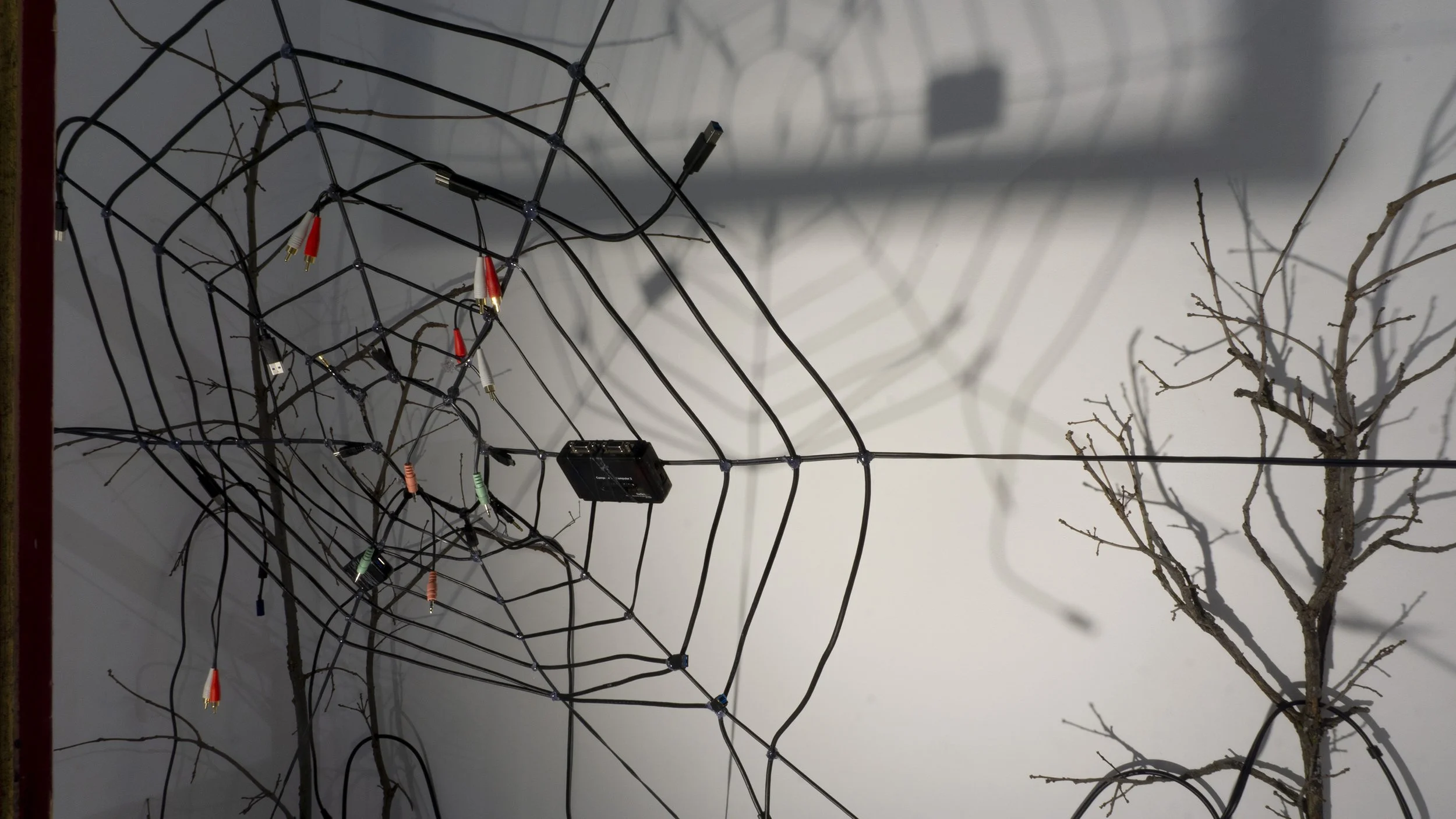 A dry, leafless tree with electrical wires and a spider web-shaped structure with various electronic components and colorful wires attached, casting shadows on a white wall.