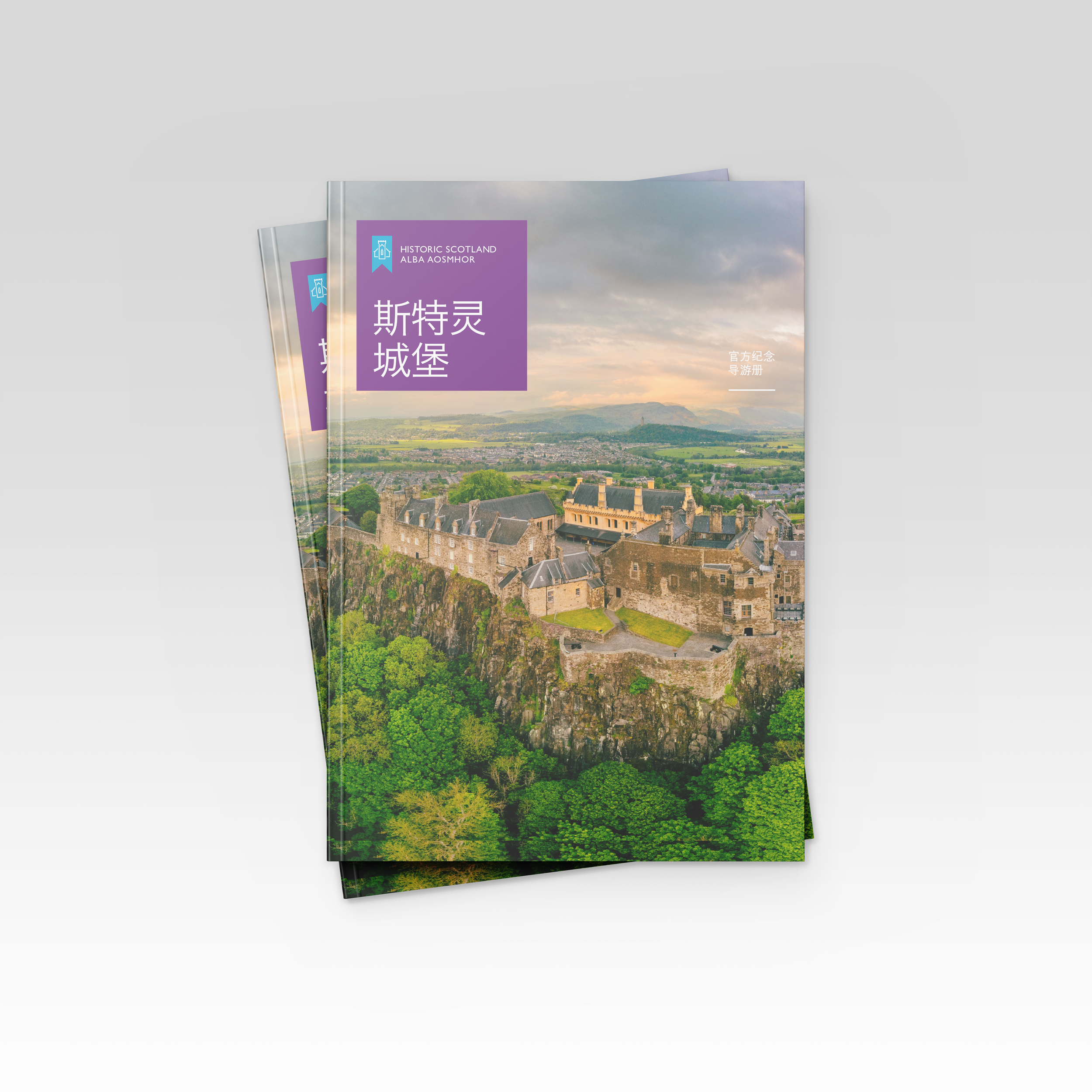 chineeé cover.png
