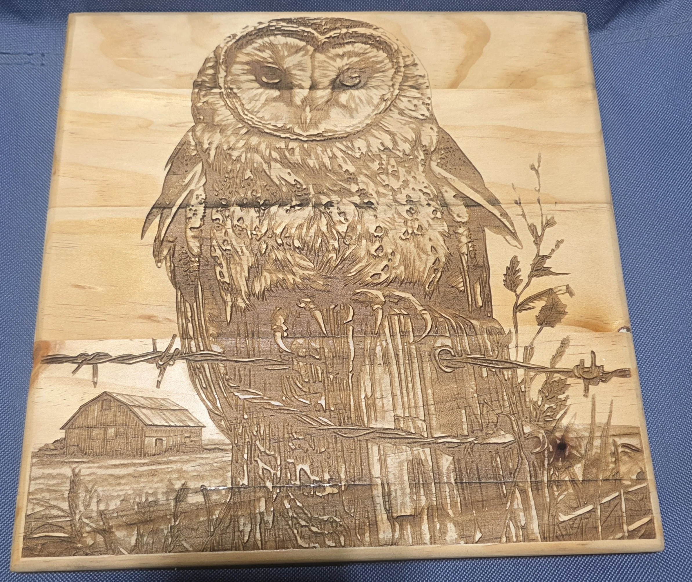 Wooden plaque engraved with an owl standing on a branch in front of a house, with a rural scene in the background.
