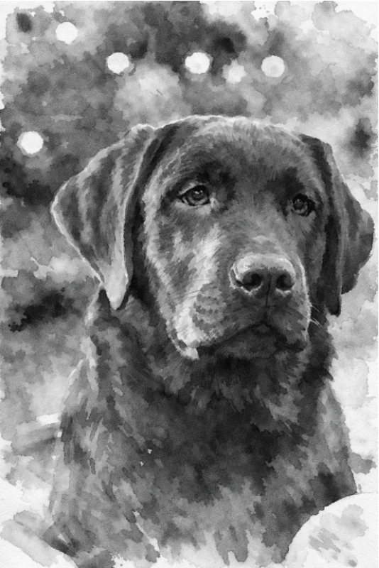 A black and white watercolor painting of a Labrador Retriever with a calm expression, surrounded by a blurred background with small circular spots.
